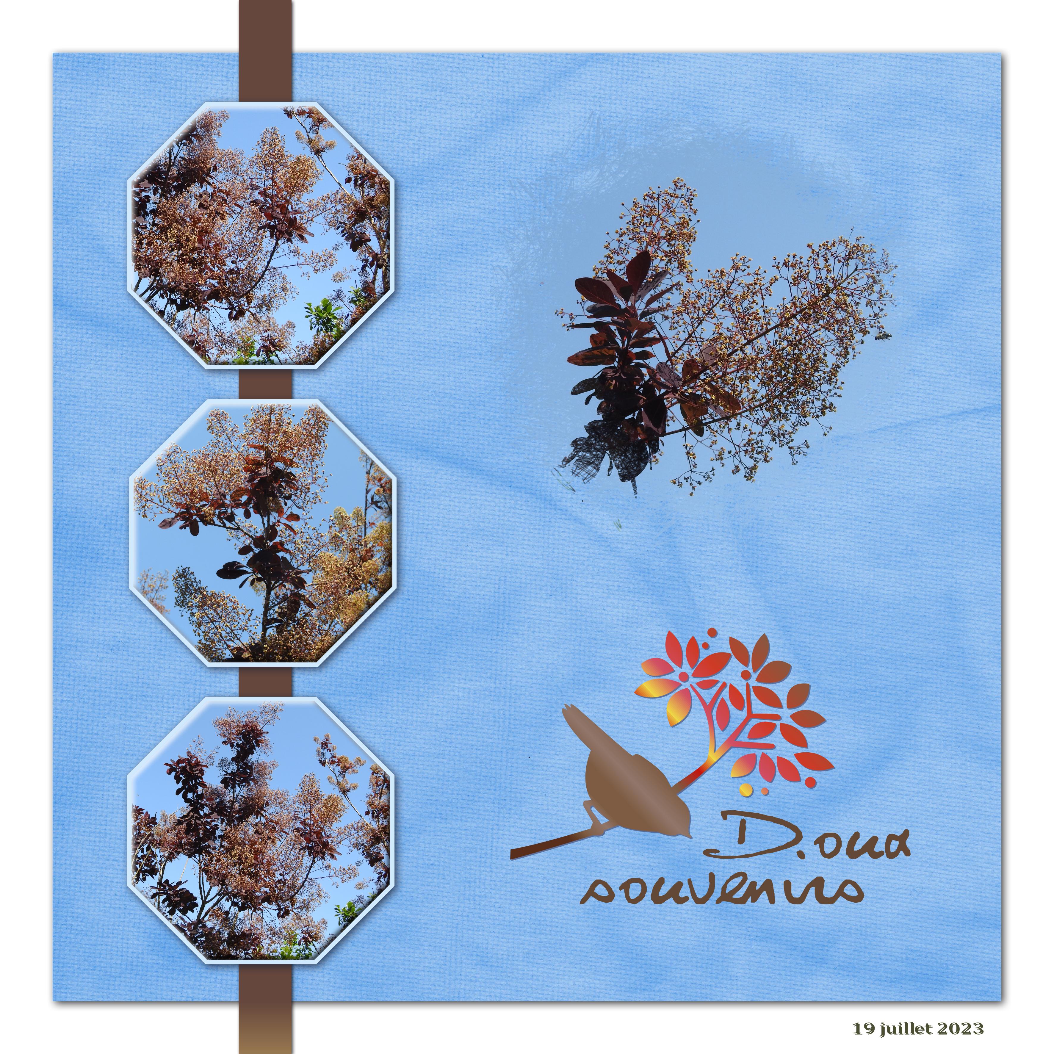 J-a55 - DOUX SOUVENIRS.jpg