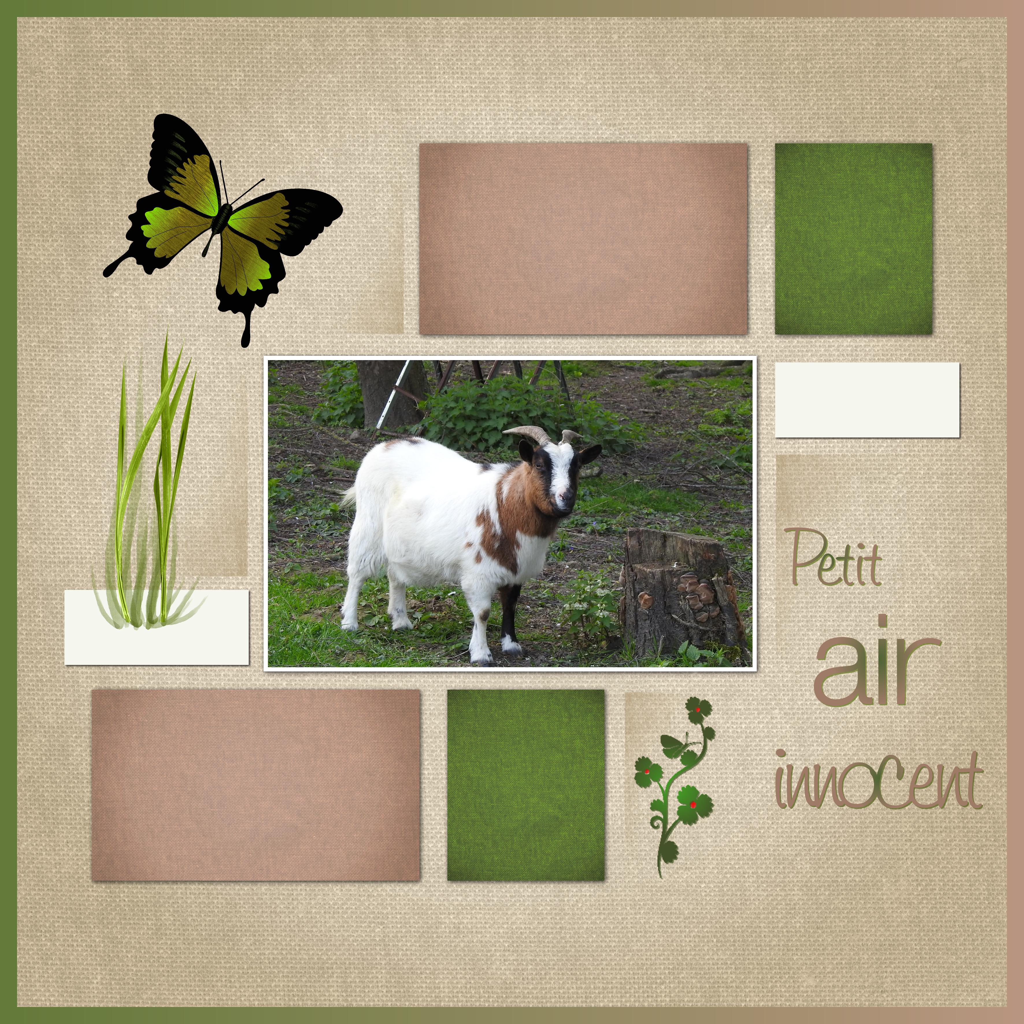 J-A56 - PETIT AIR INNOCENT.jpg