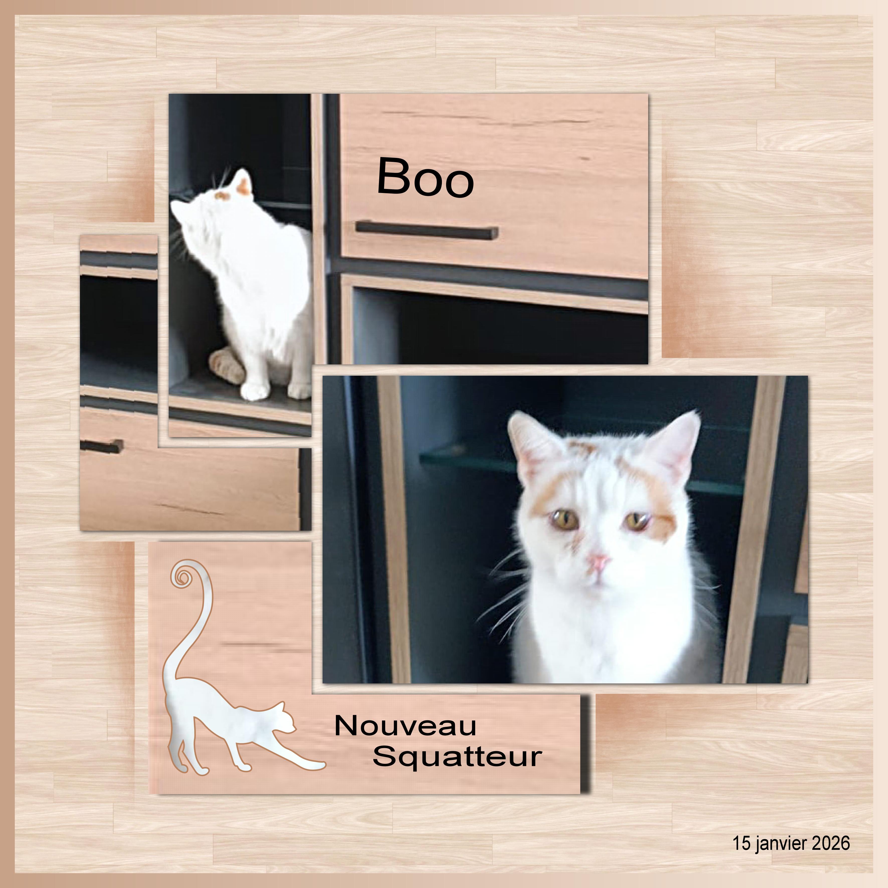 J-A57 - BOO NOUVEAU SQUATTEUR .jpg