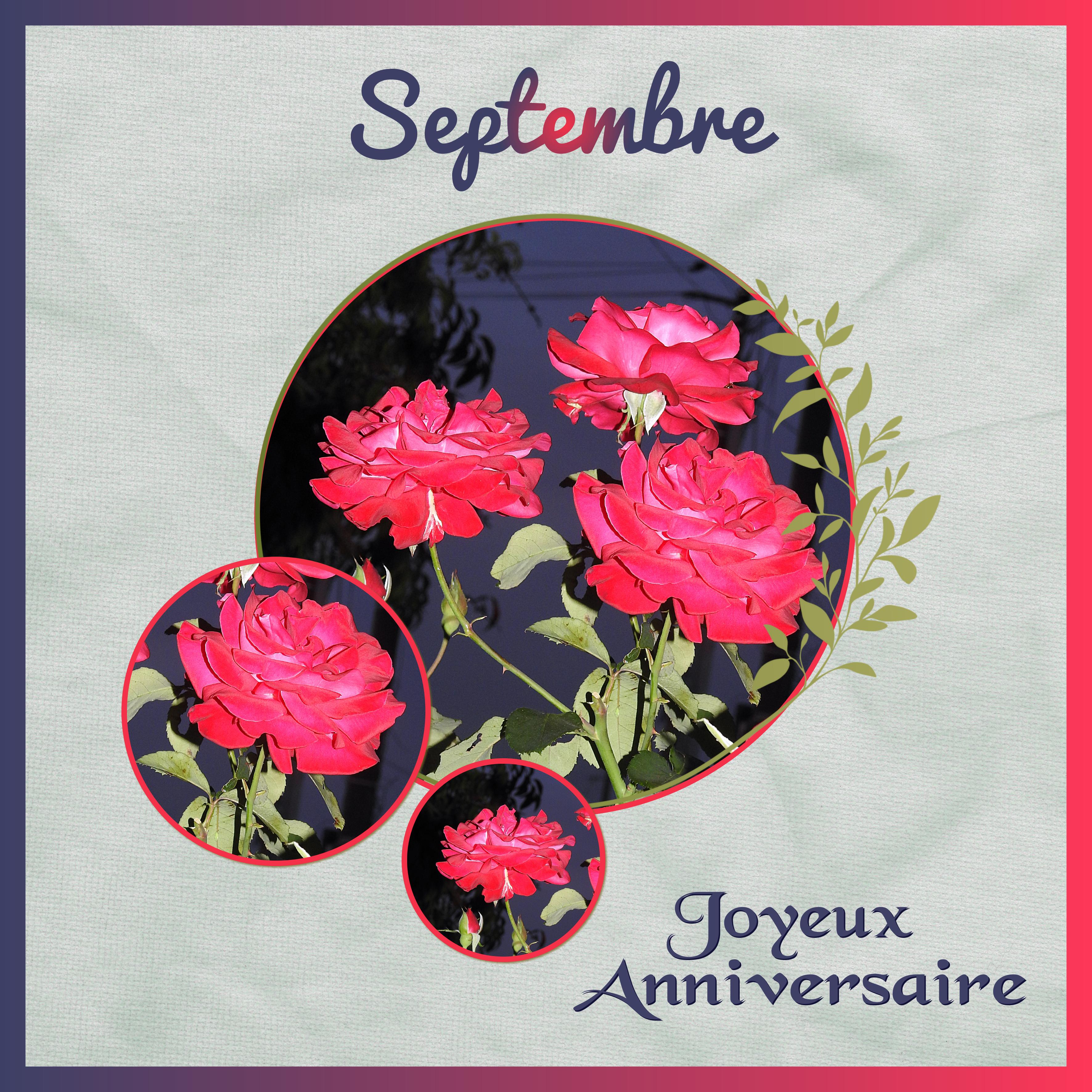 J-a61 - JOYEUX ANNIVERSAIRE.jpg