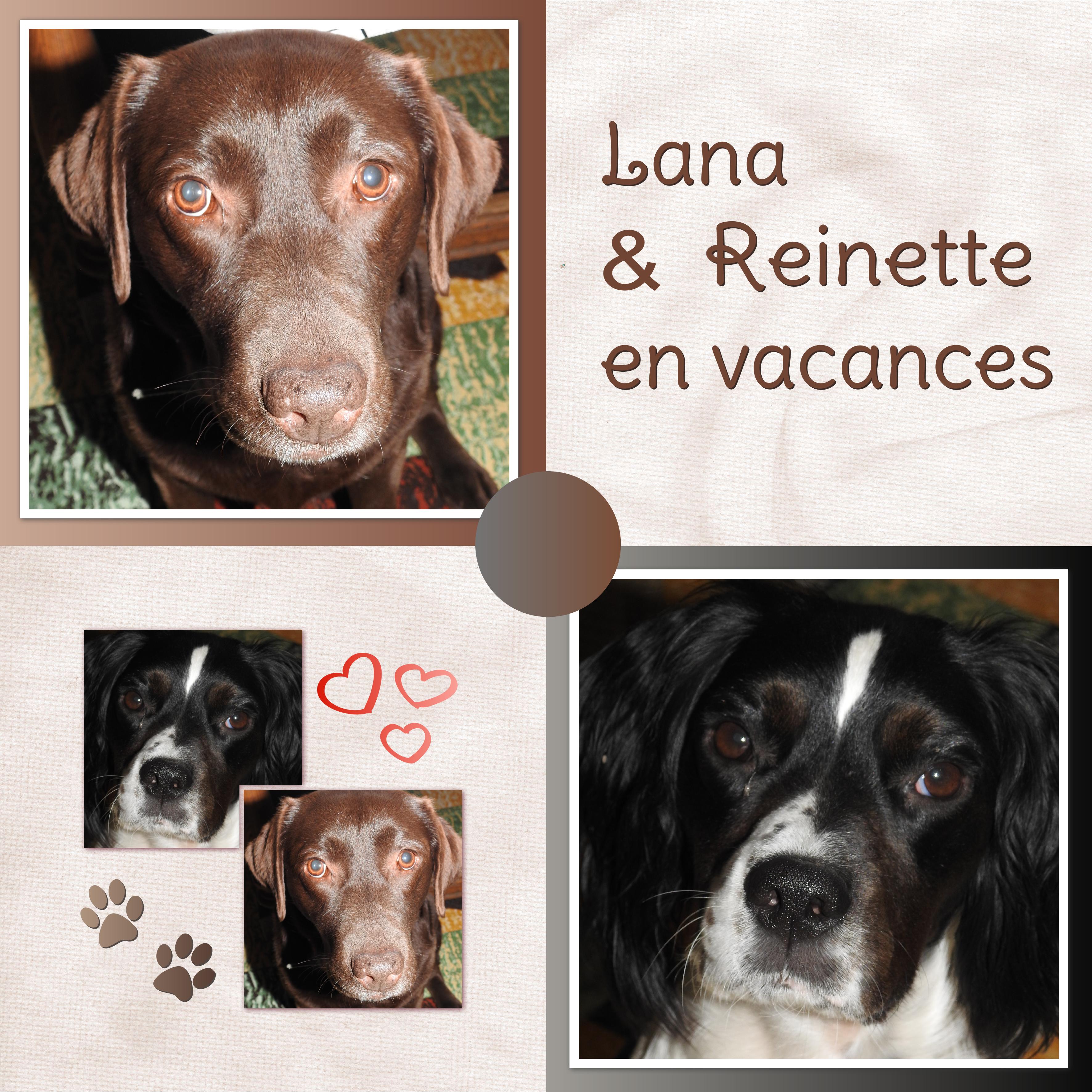 J-A61 - LANA & REINETTE EN VACANCES.jpg