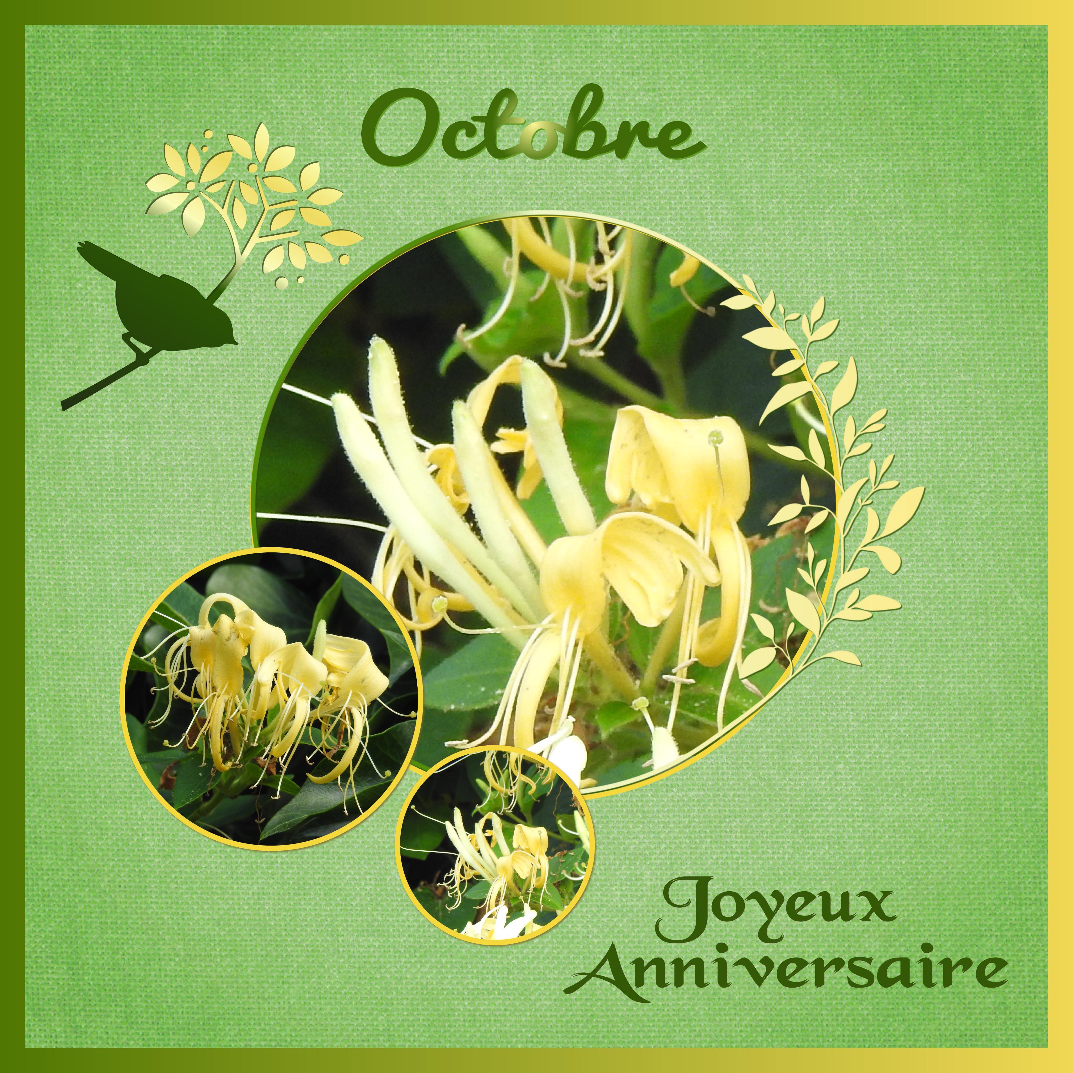 J-a66 - JOYEUX ANNIVERSAIRE.jpg