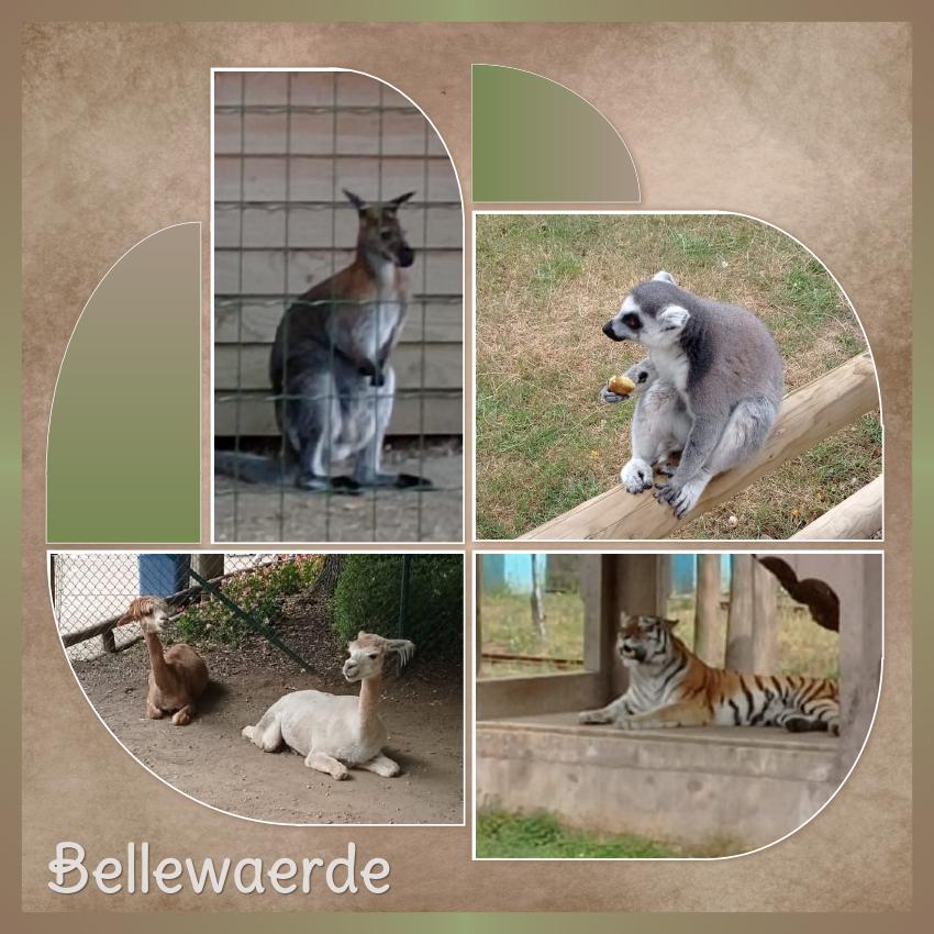 J-A67 -BELLEWARDE.jpg