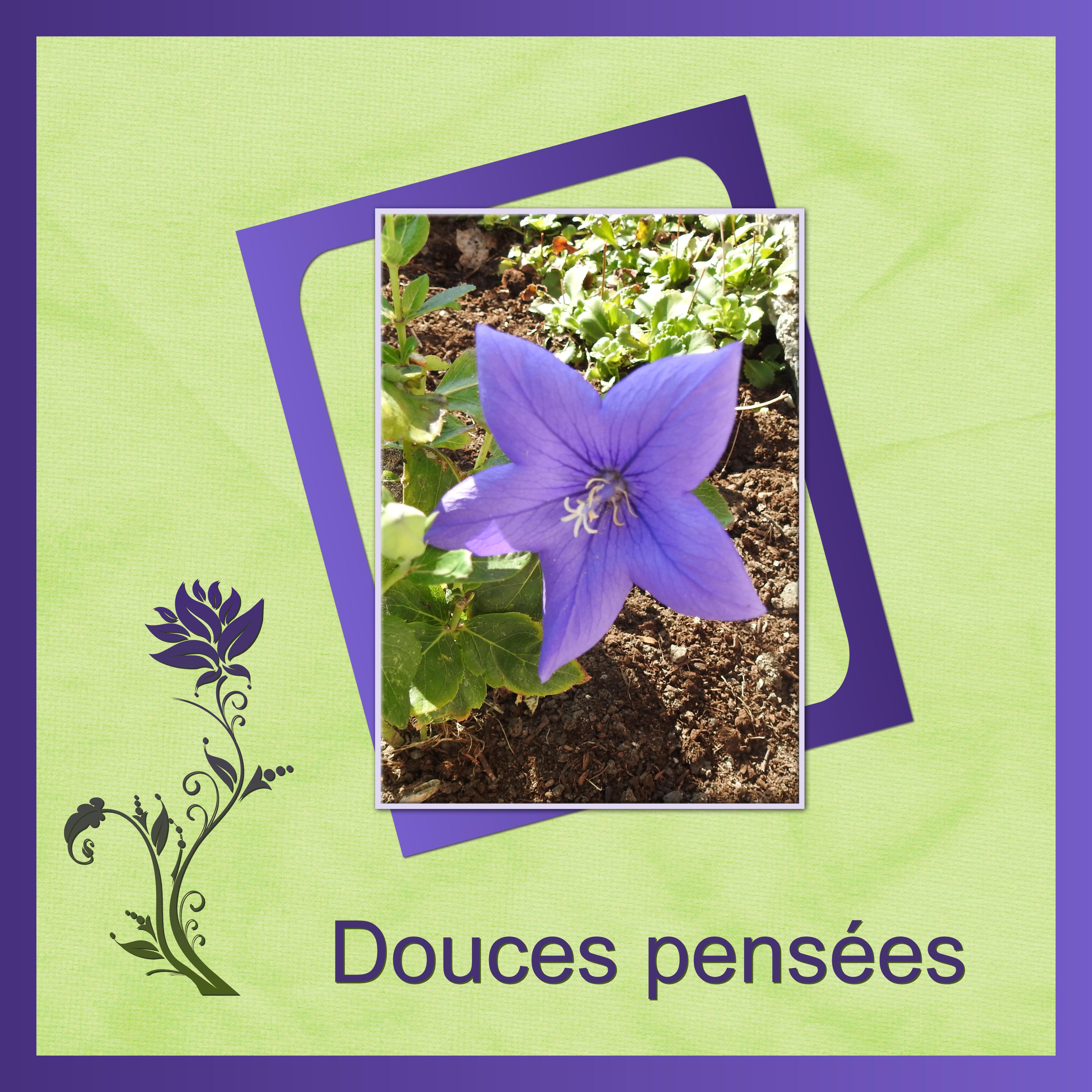 J-a68 - DOUCES PENSEES.jpg