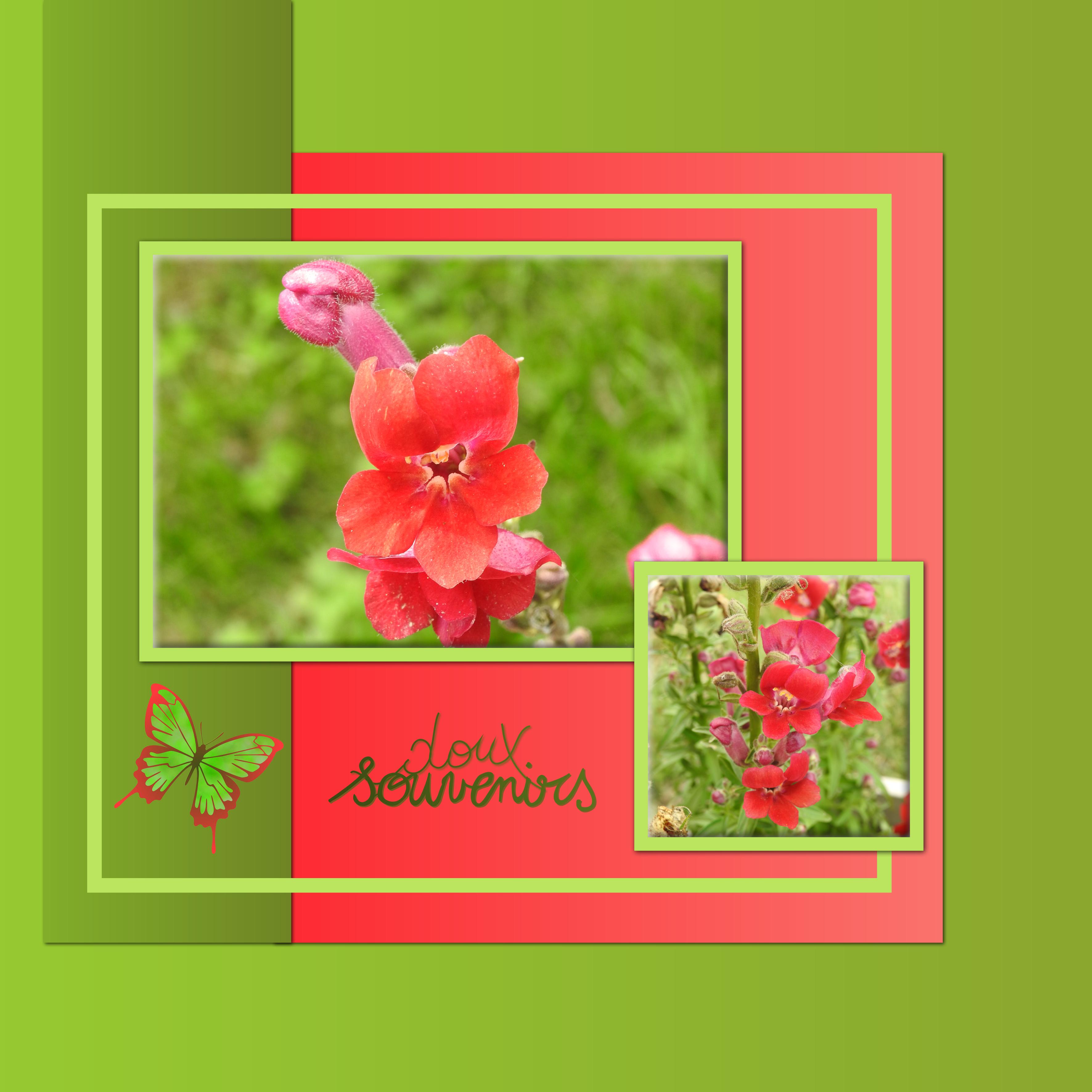 J-a68 - DOUX SOUVENIRS.jpg