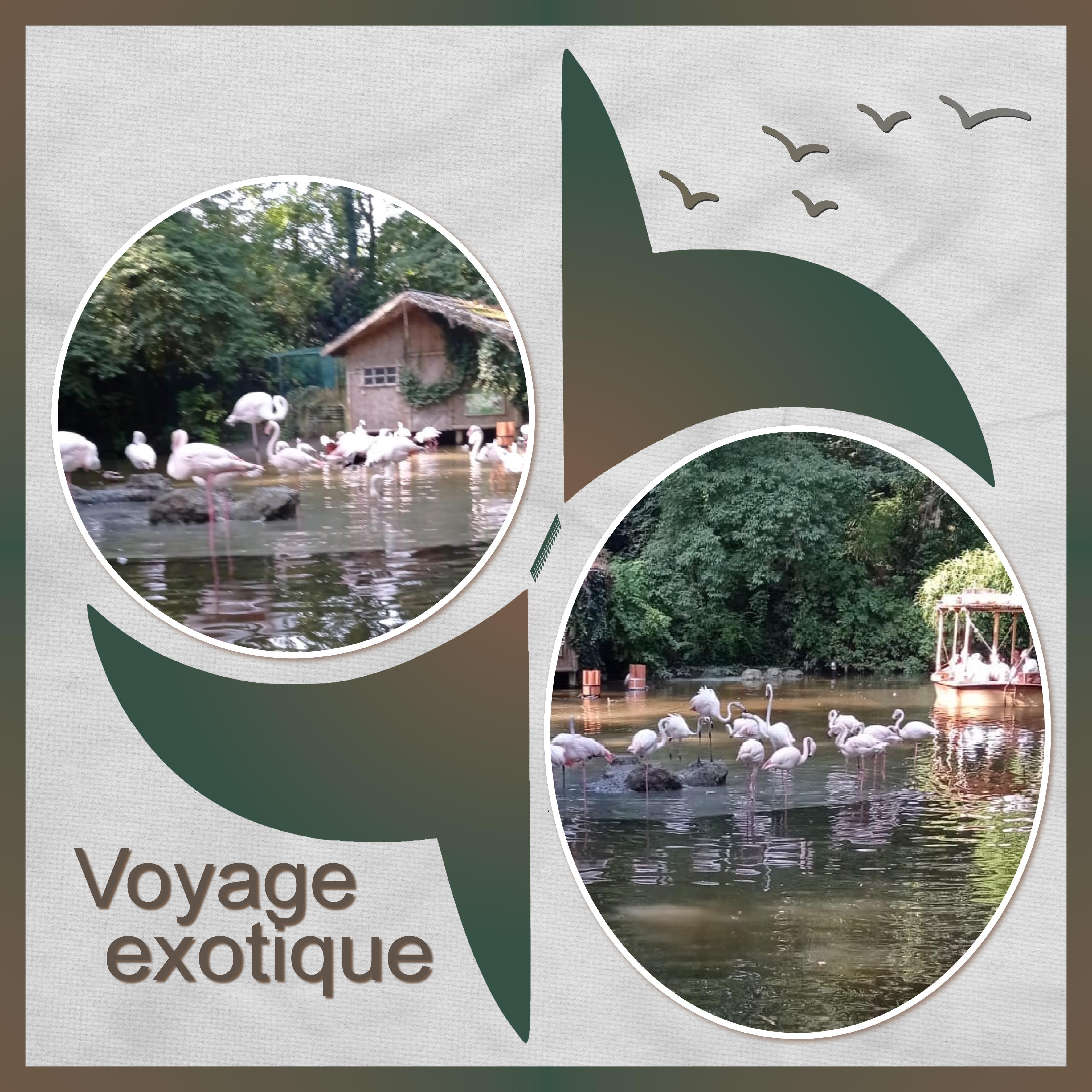 J-A69 - VOYAGE EXOTIQUE.jpg