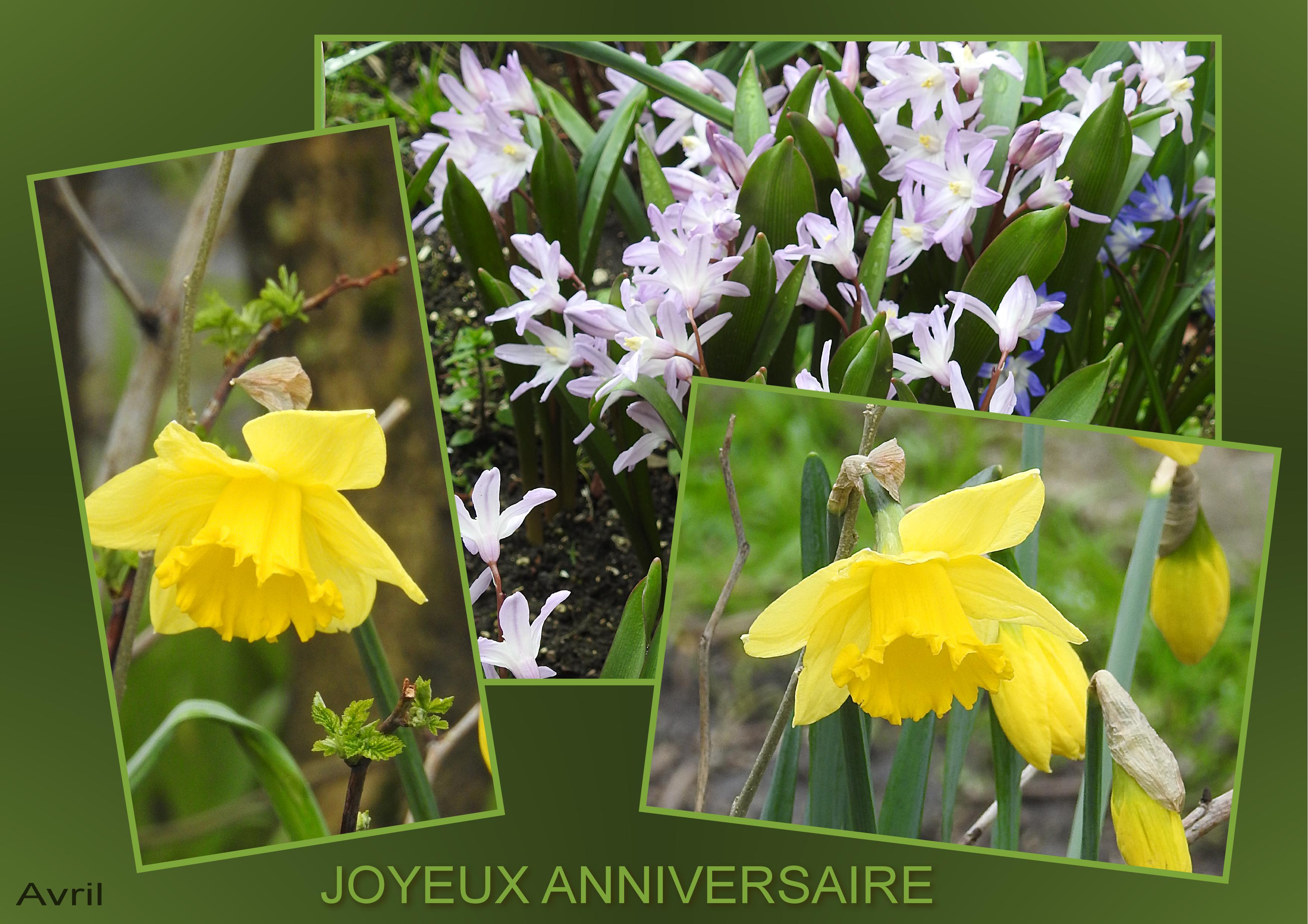 J-a7-ANNIVERSAIRES D'AVRIL.jpg