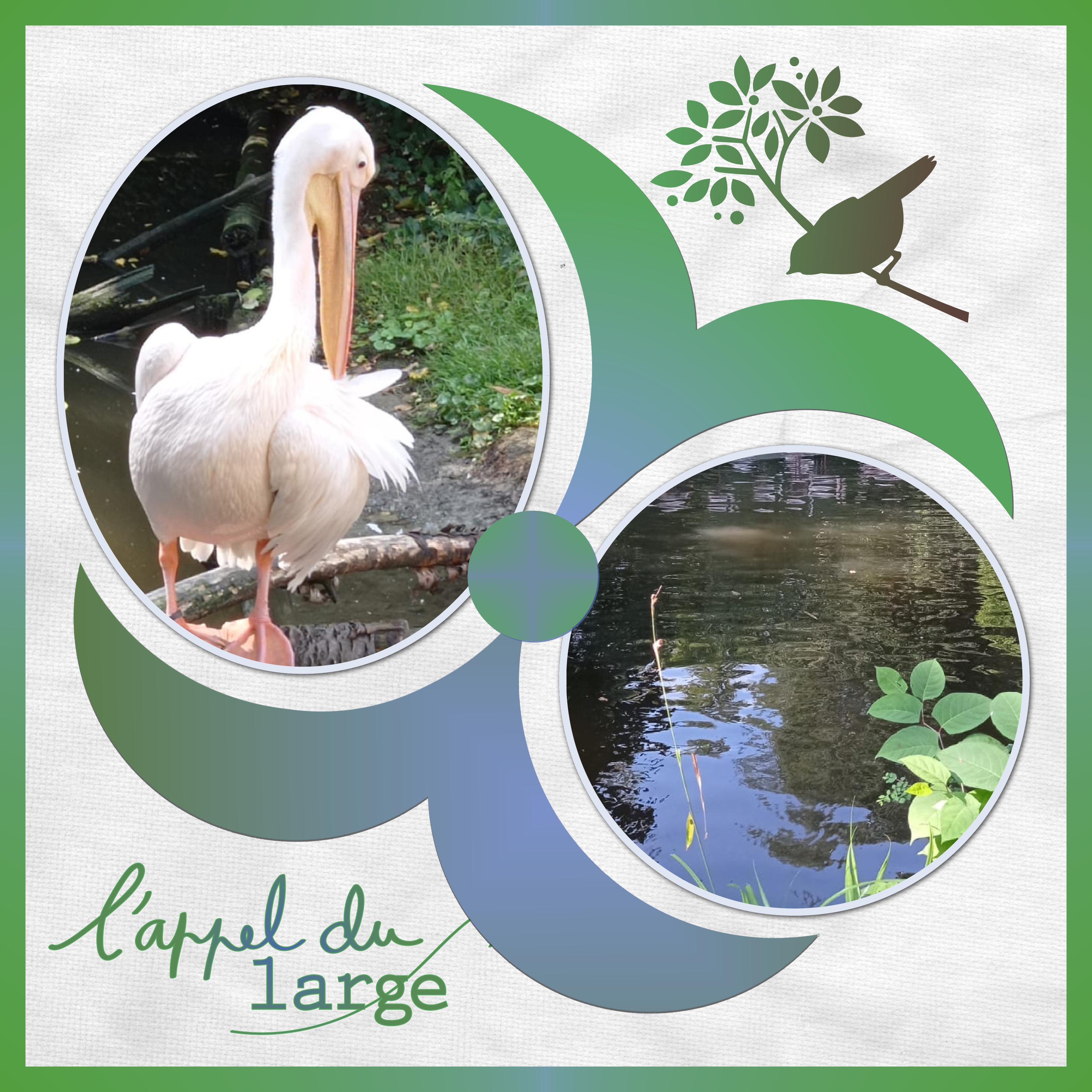 J-A72 - L'APPEL DU LARGE.jpg