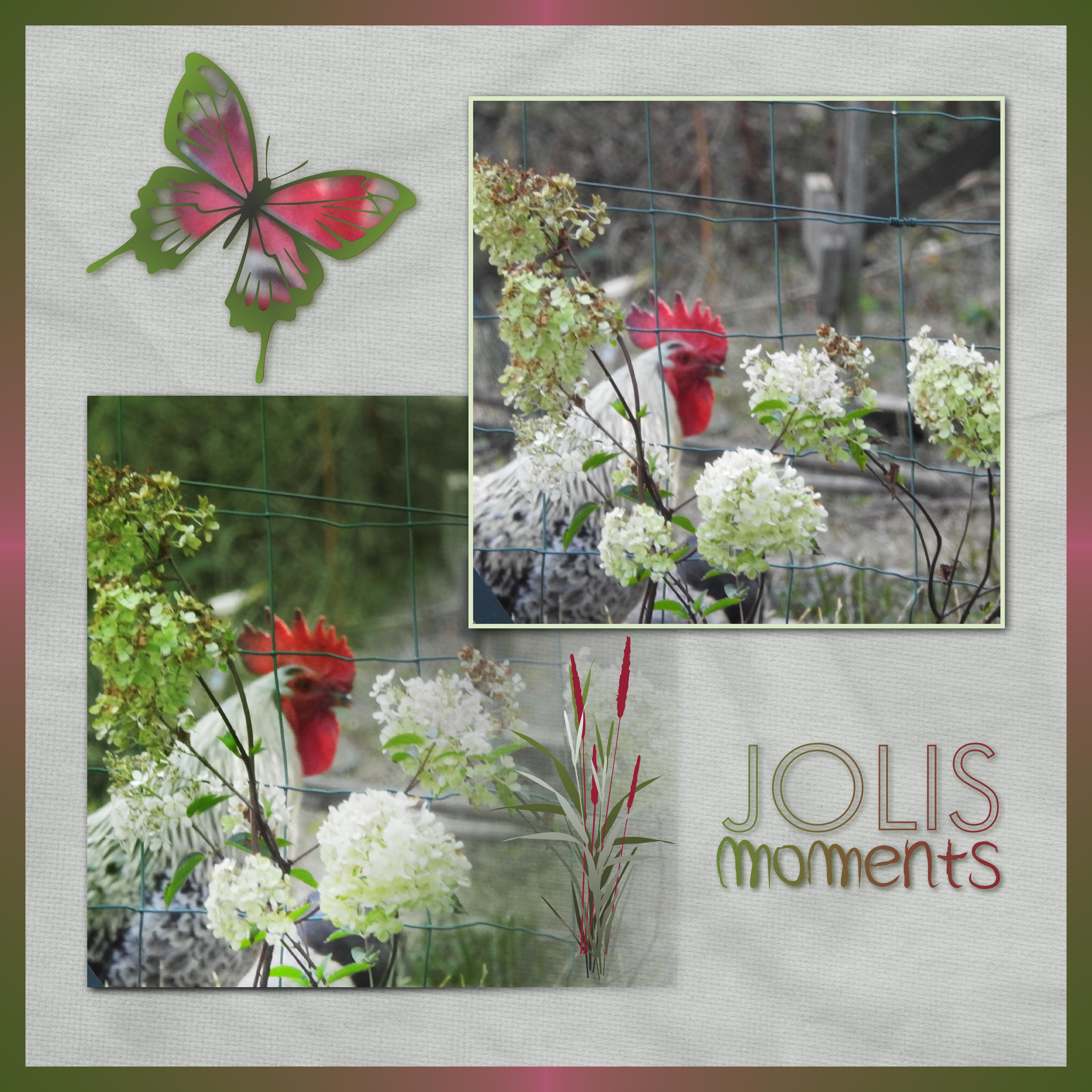 J-A73 - JOLIS MOMENTS.jpg