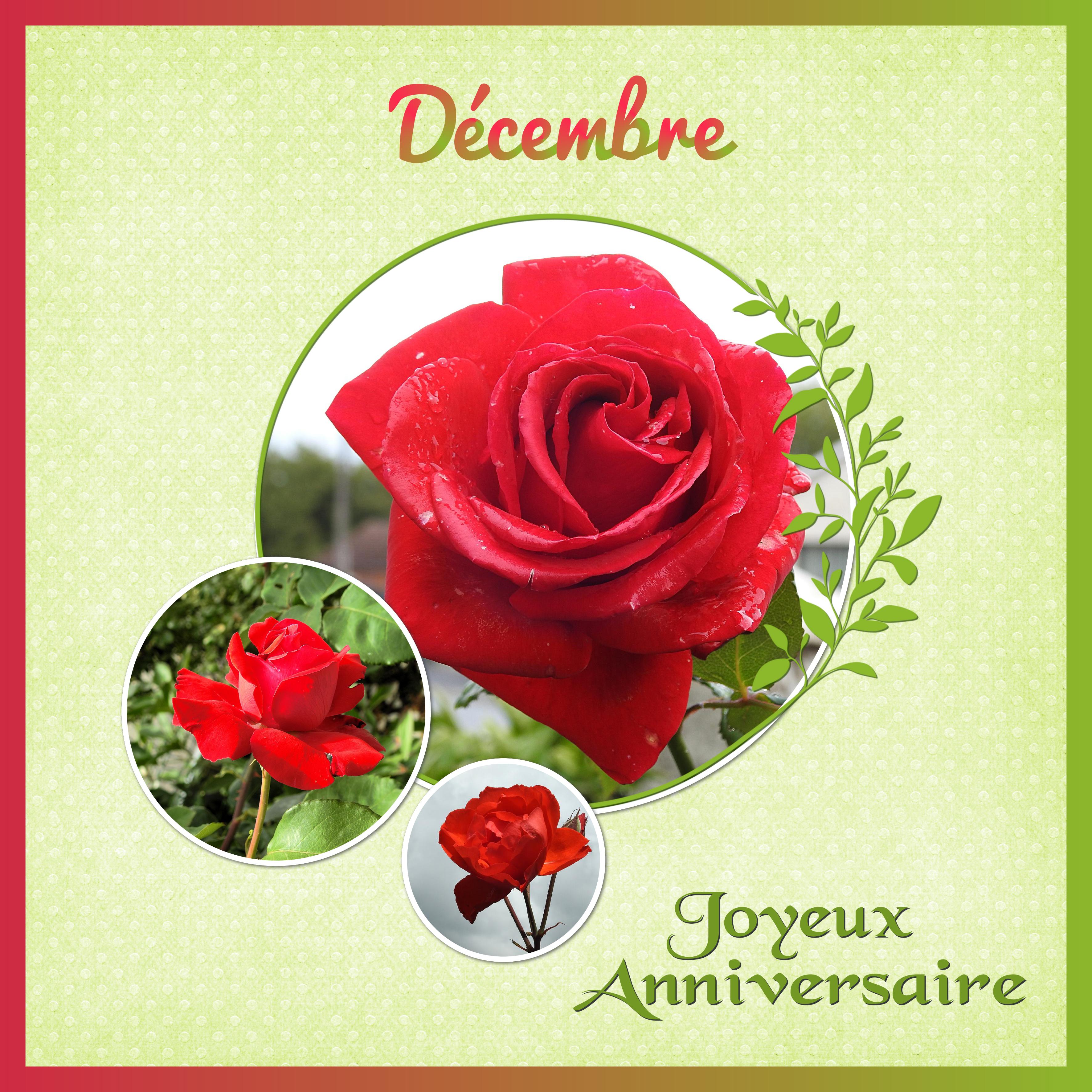 J-a73 - JOYEUX ANNIVERSAIRE.jpg