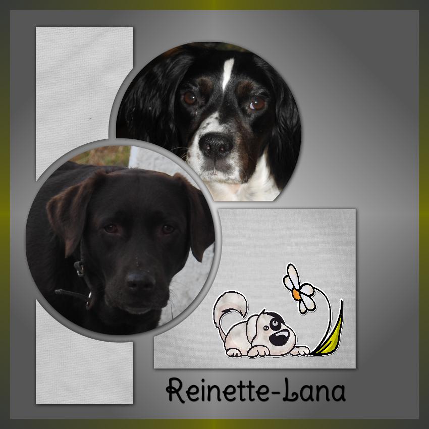 J-A74 - LANA-REINETTE.jpg