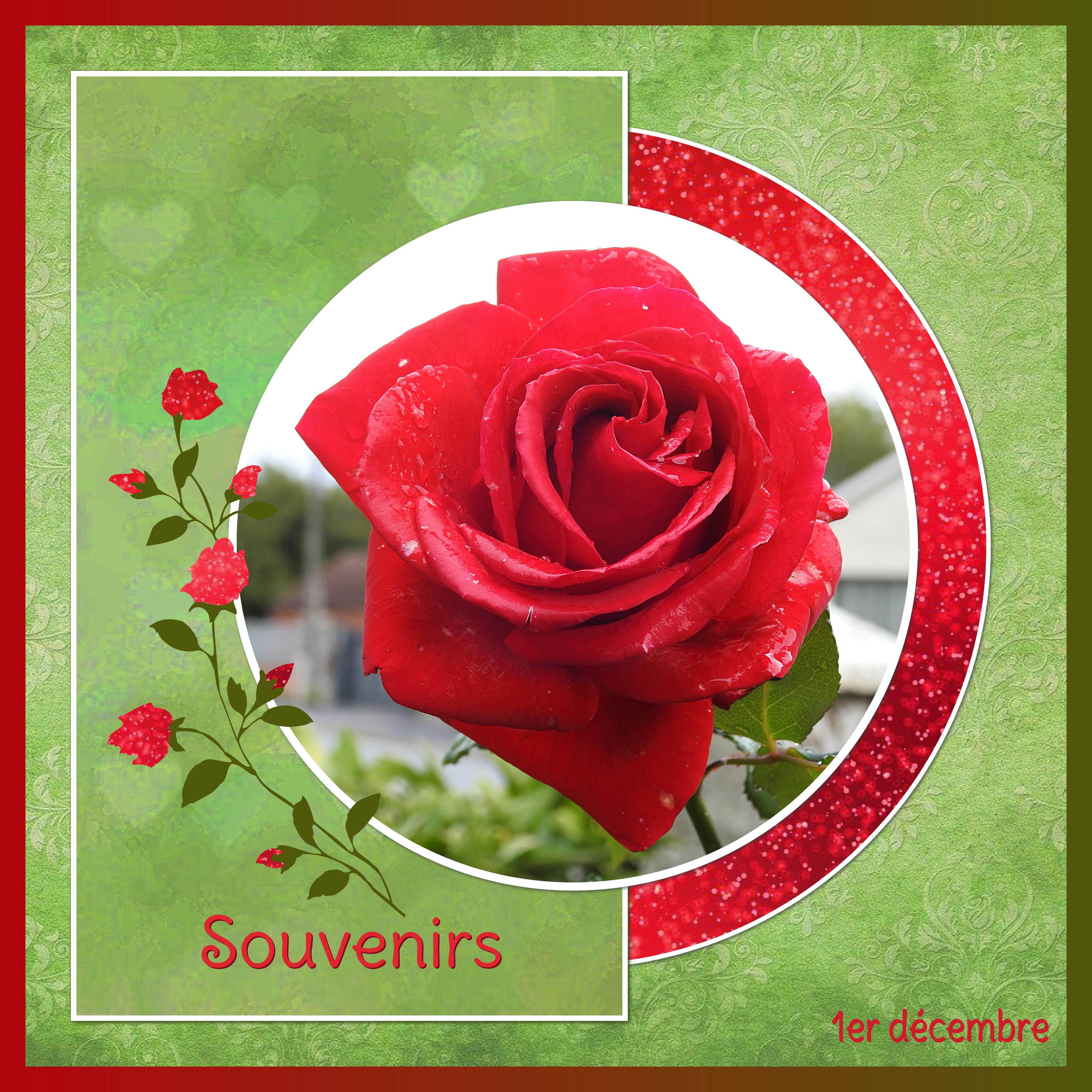 J-a74 - SOUVENIRS.jpg