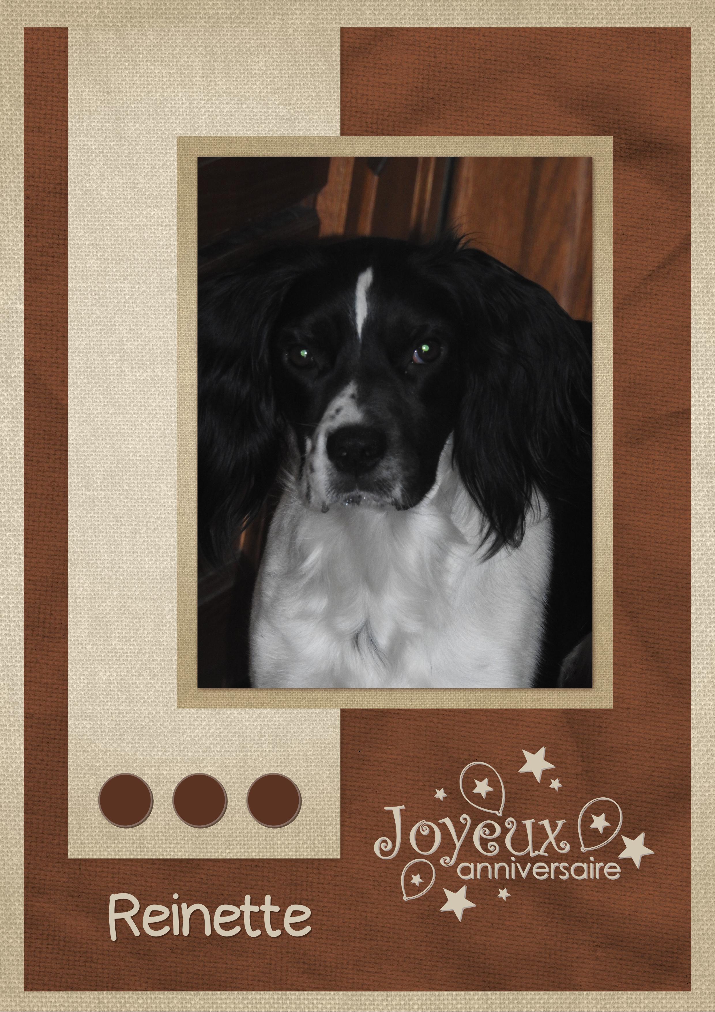 J-A75 - ANNIVERSAIRE DE REINETTE.jpg