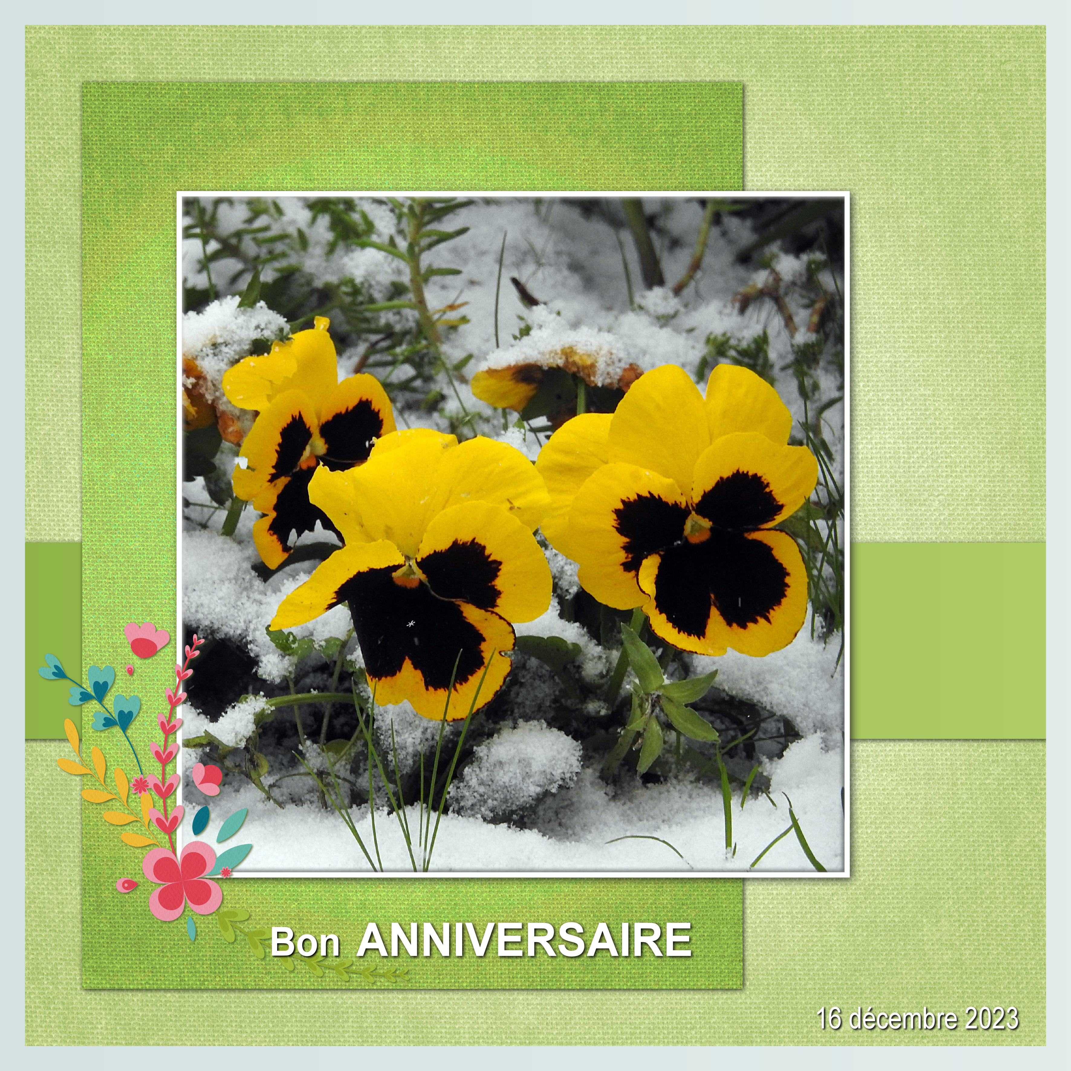 J-a75 - BON ANNIVERSAIRE.jpg