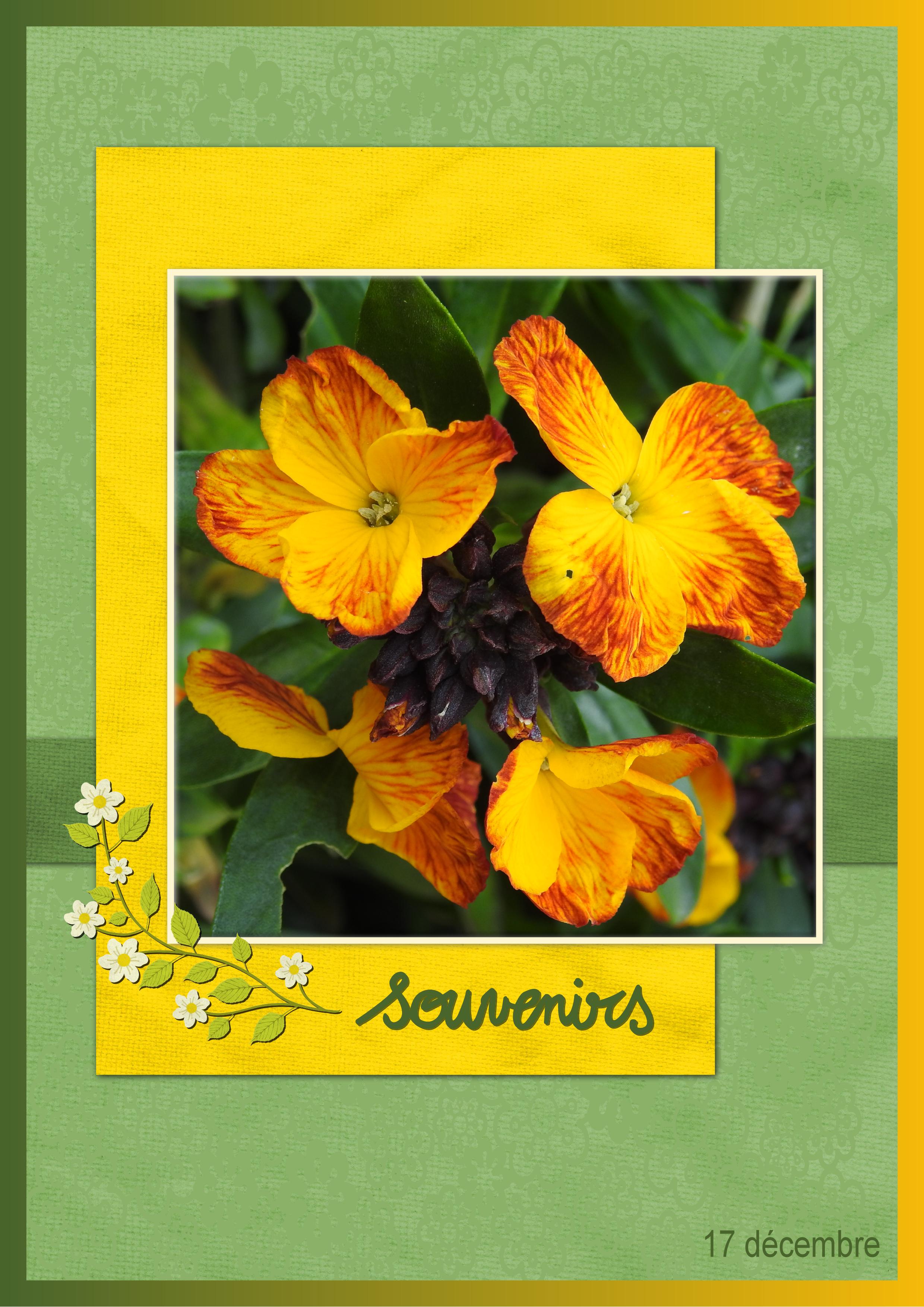 J-a76 - SOUVENIRS.jpg