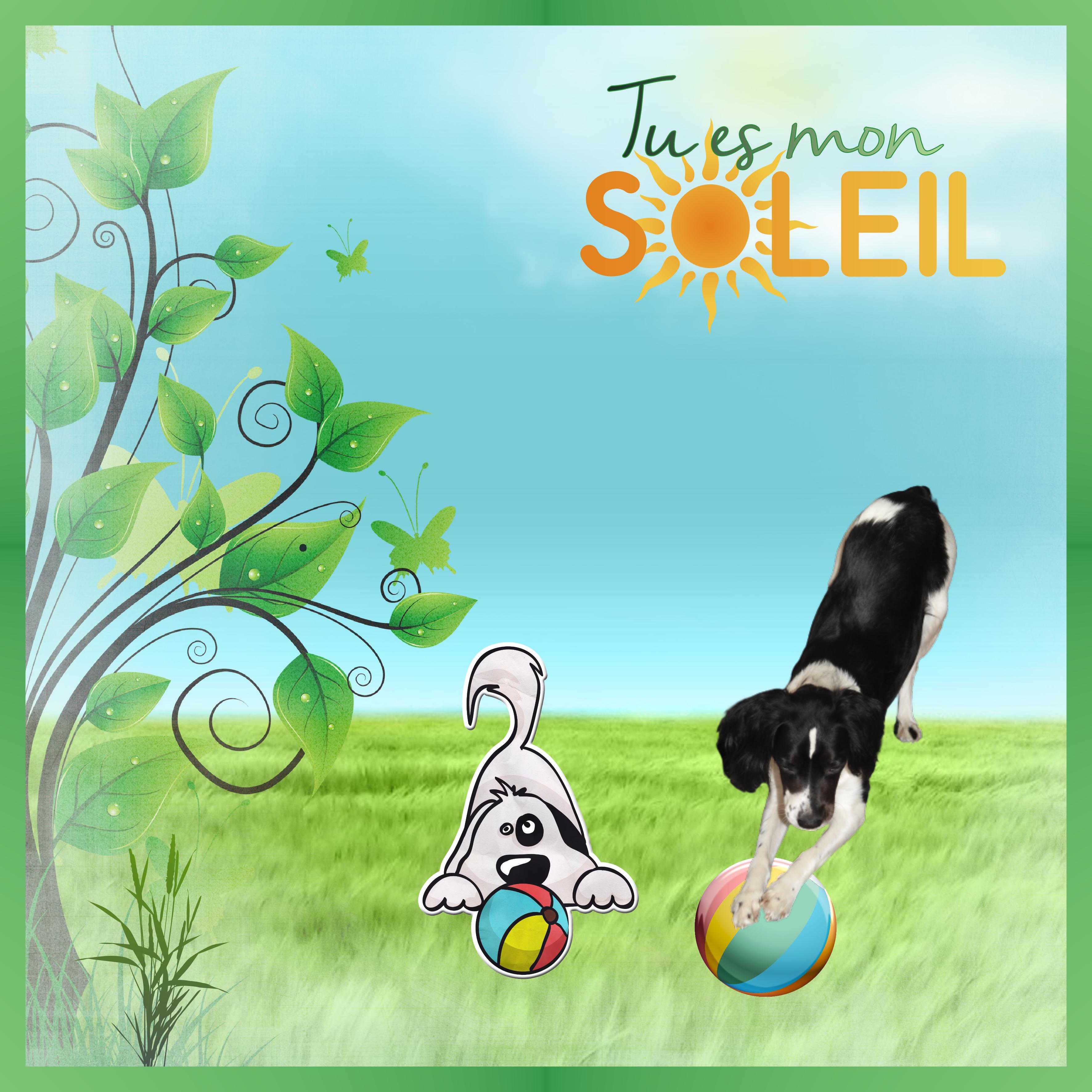 J-A76 - TU ES MON SOLEIL.jpg