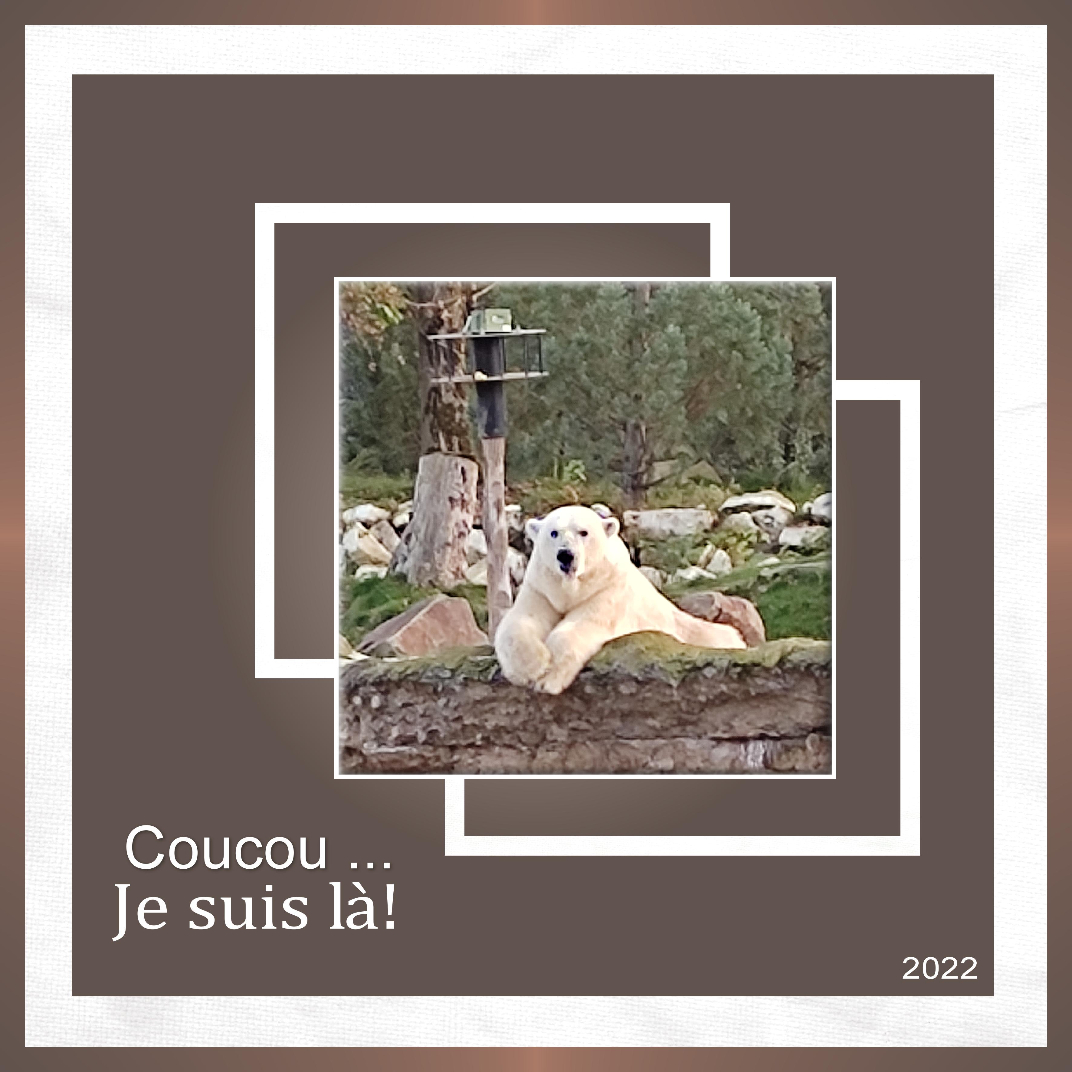 J-A78 - COUCOU JE SUIS LA.jpg