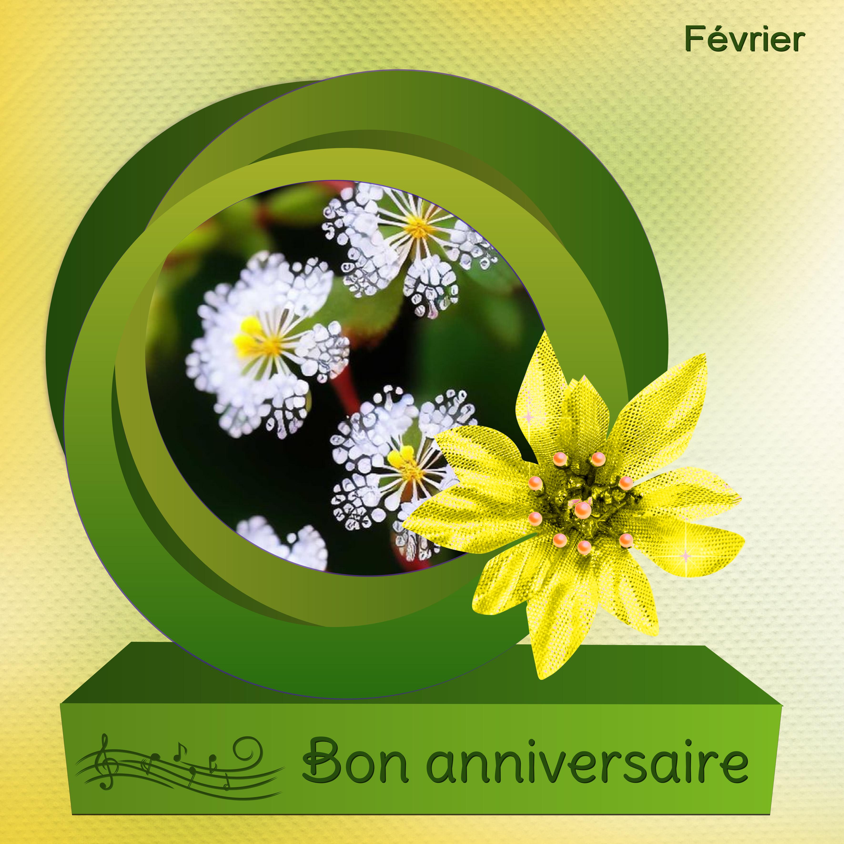 J-A81 - BON ANNIVERSAIRE.jpg