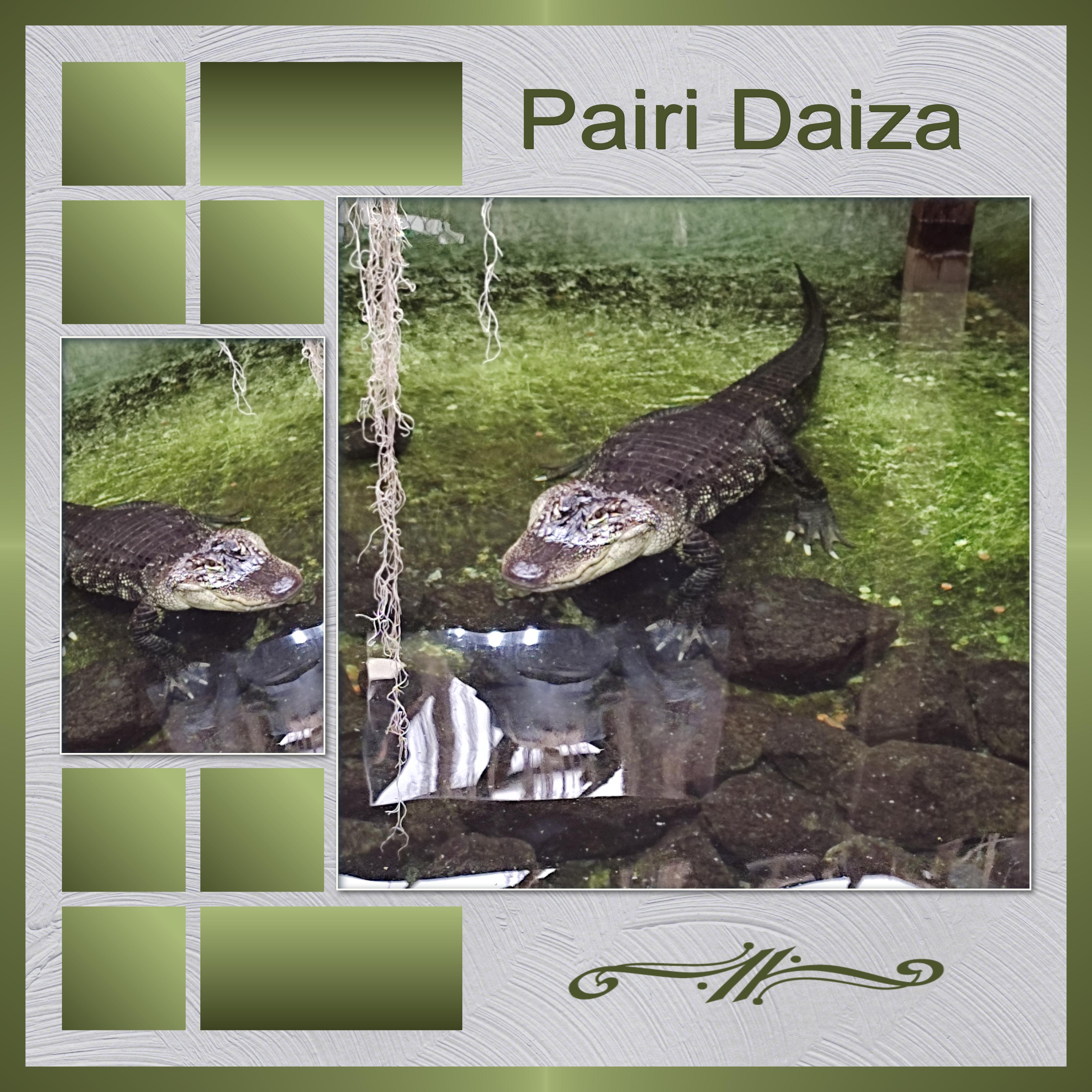 J-A82 - PAIRI DAIZA.jpg
