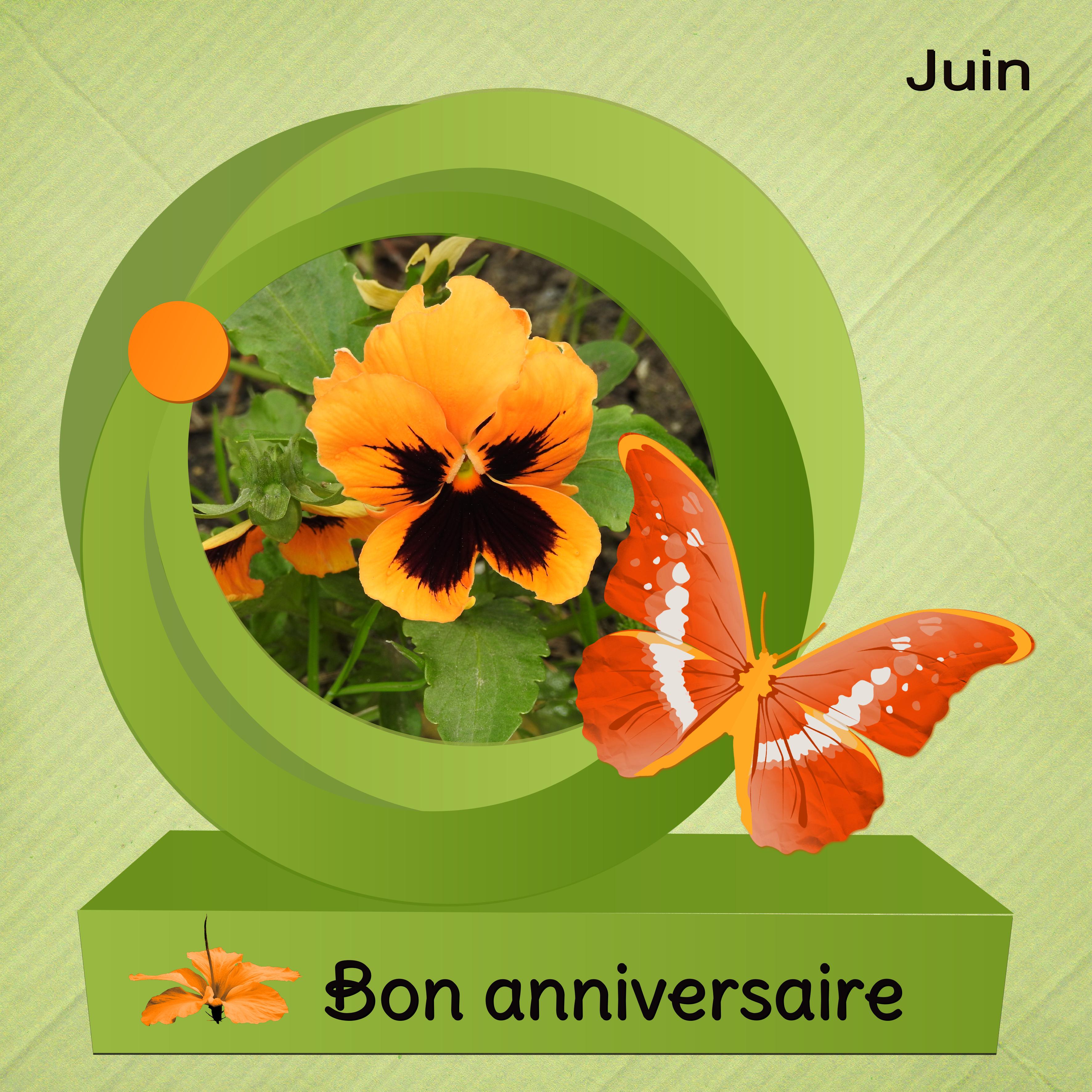 J-a87 - BON ANNIVERSAIRE.jpg
