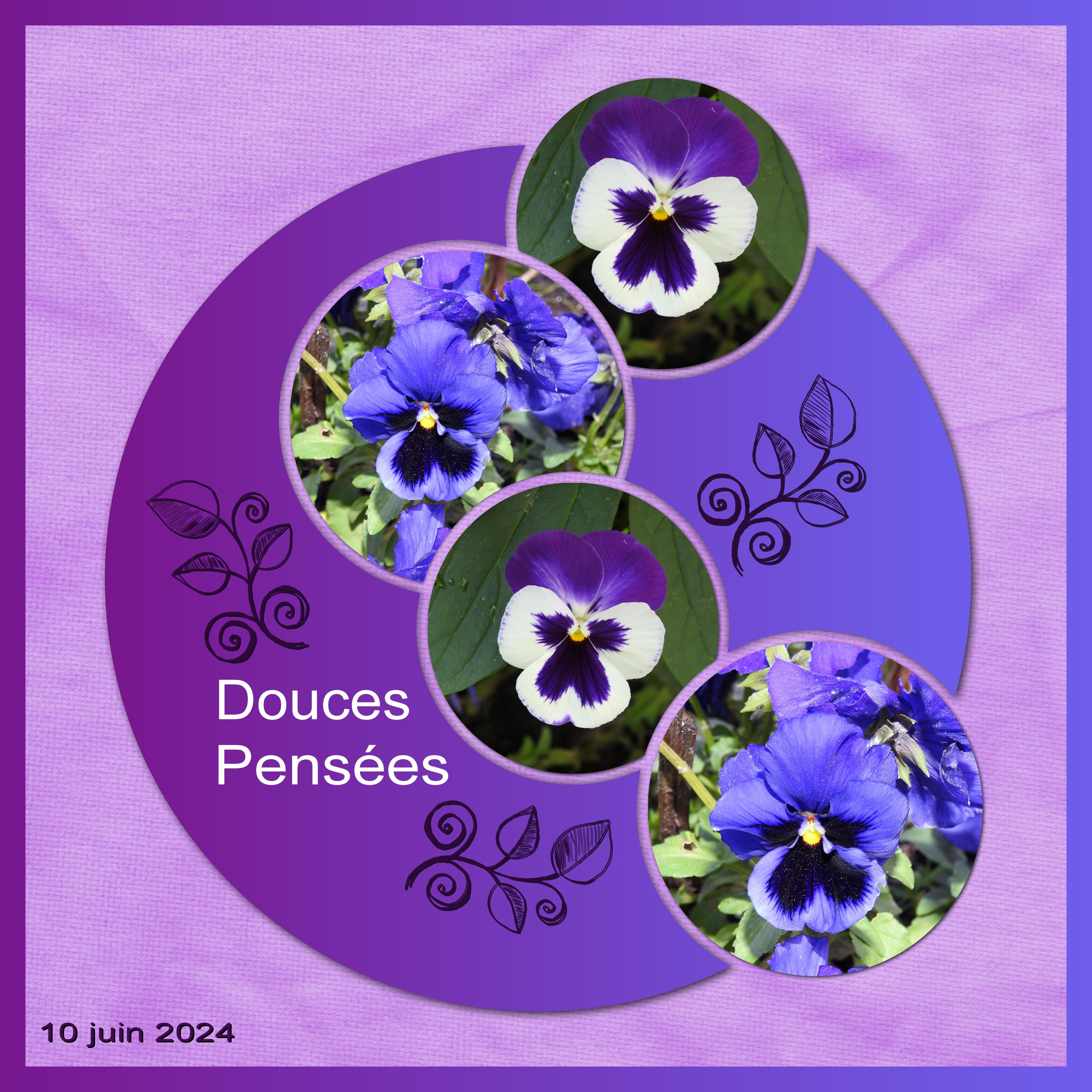 J-a88 - DOUCES PENSEES.jpg