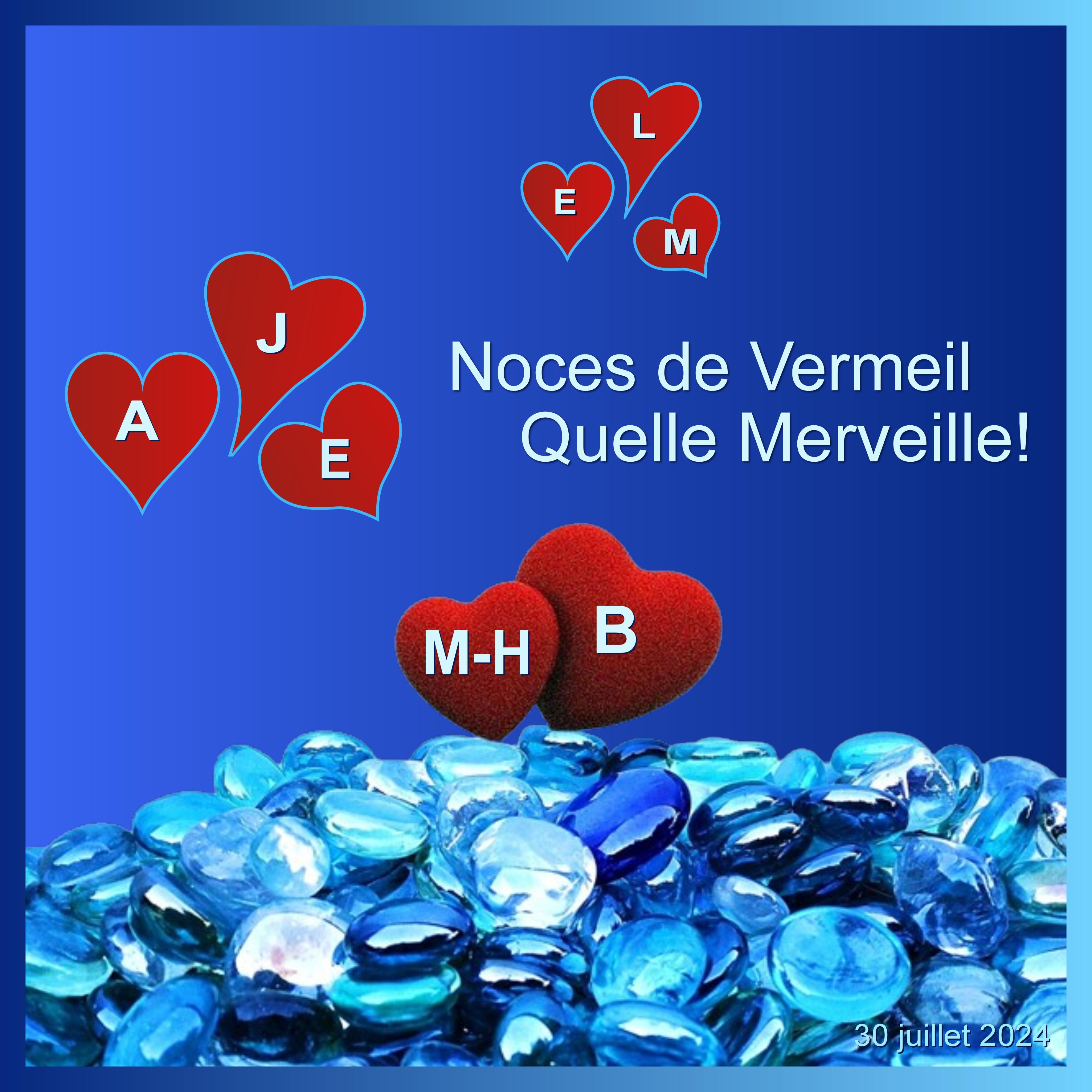 J-a94 - NOCES DE VERMEIL .jpg