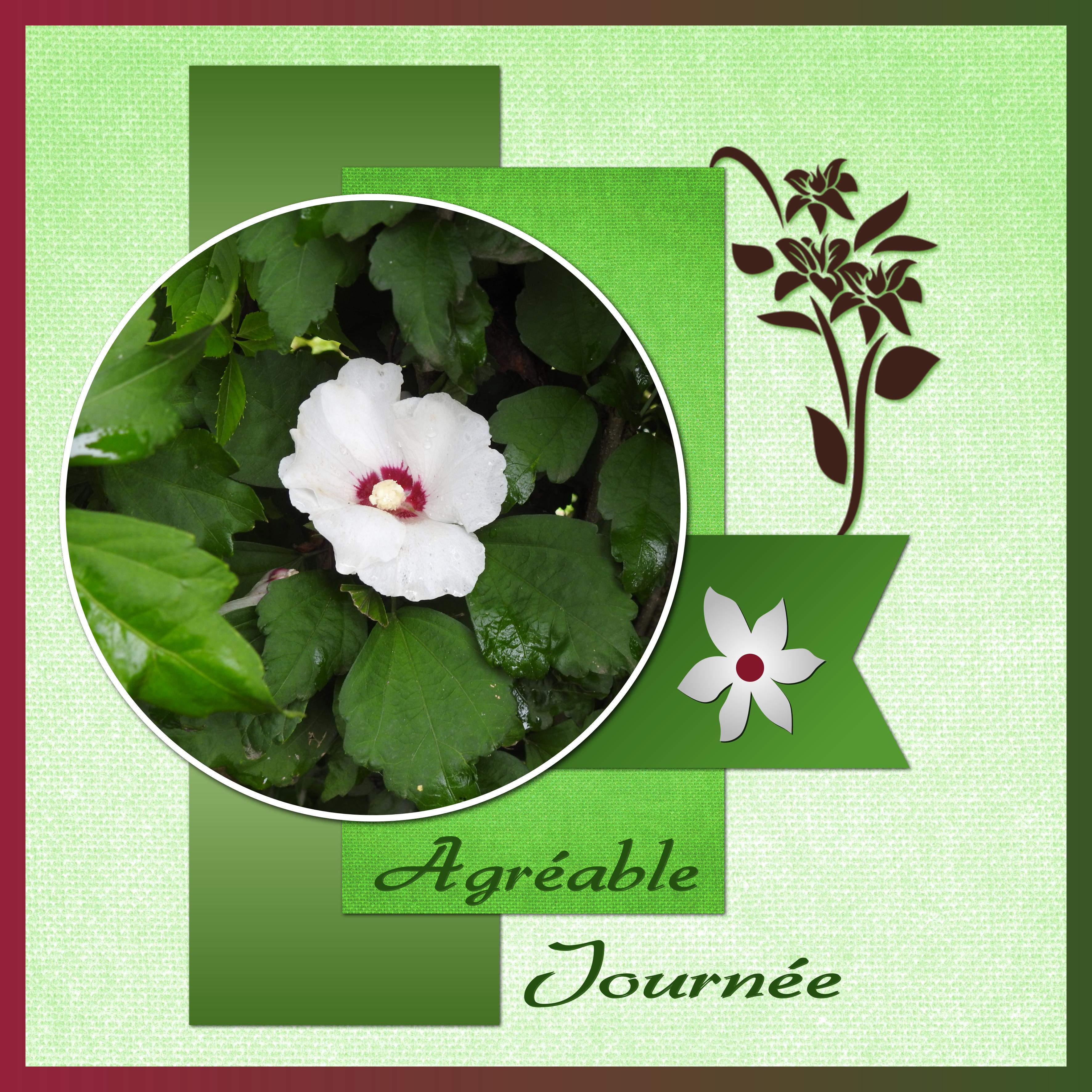 J - AGREABLE JOURNEE.jpg