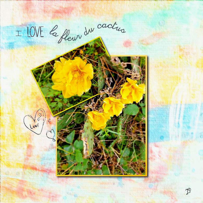 j aime la fleur du cactus.jpg