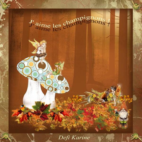 J' aime les champignons