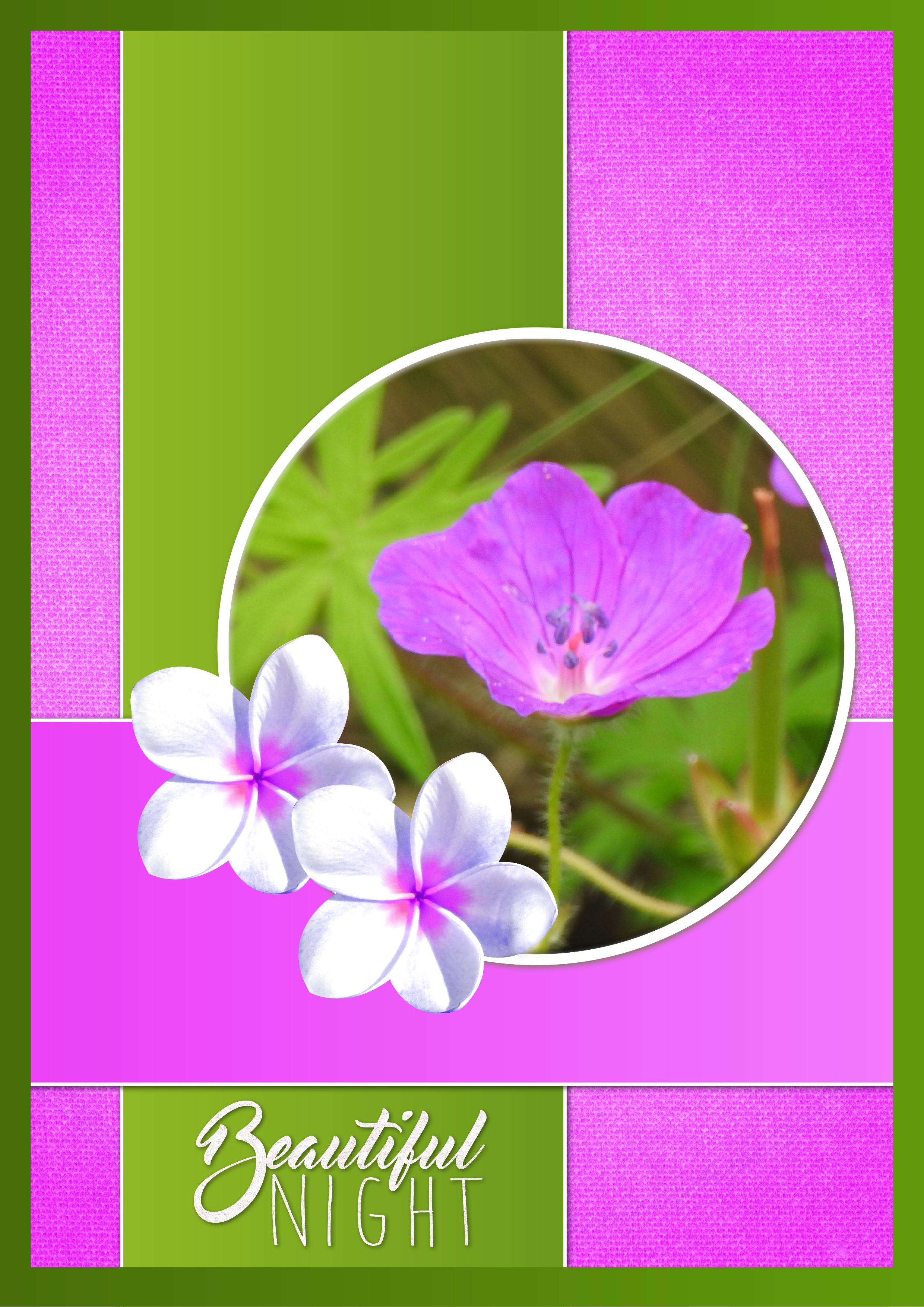 J - BEAUTIFUL NIGHT.jpg