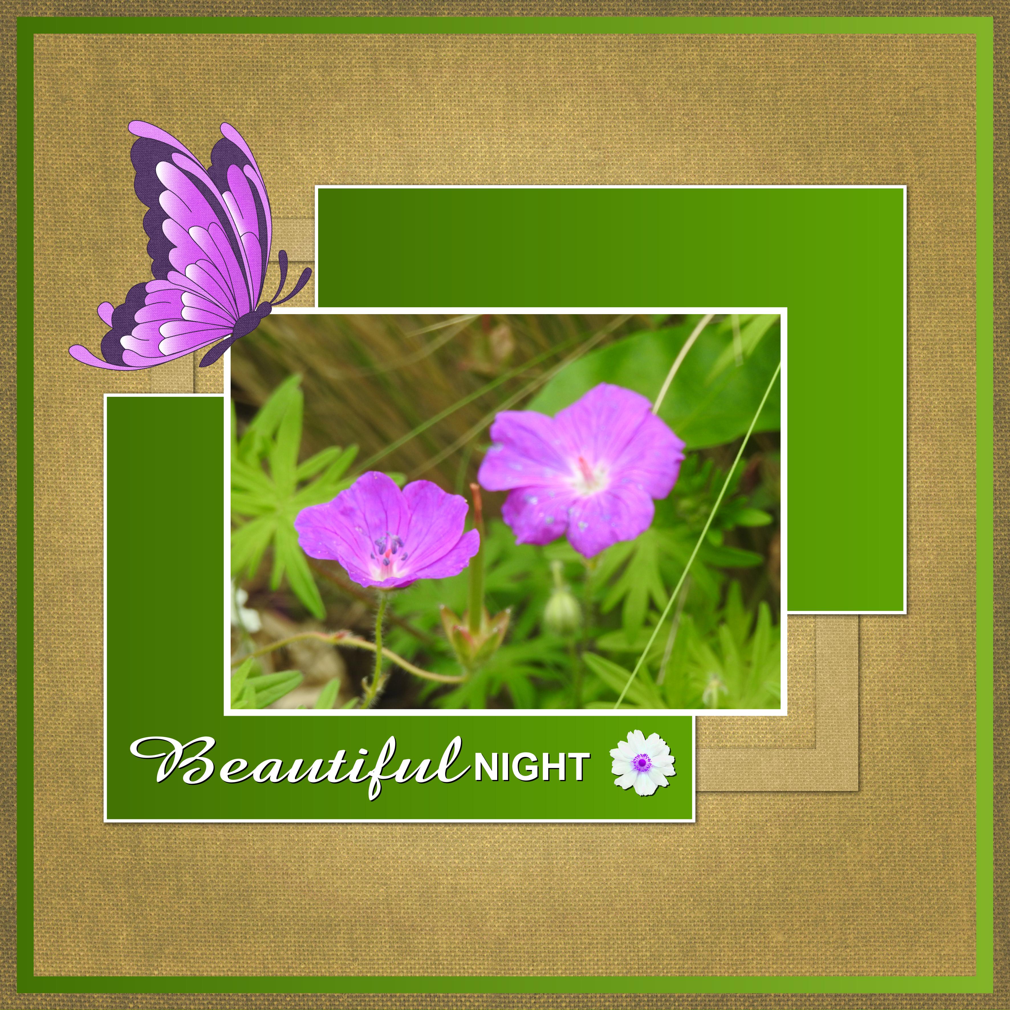 J - BEAUTIFUL NIGHT.jpg