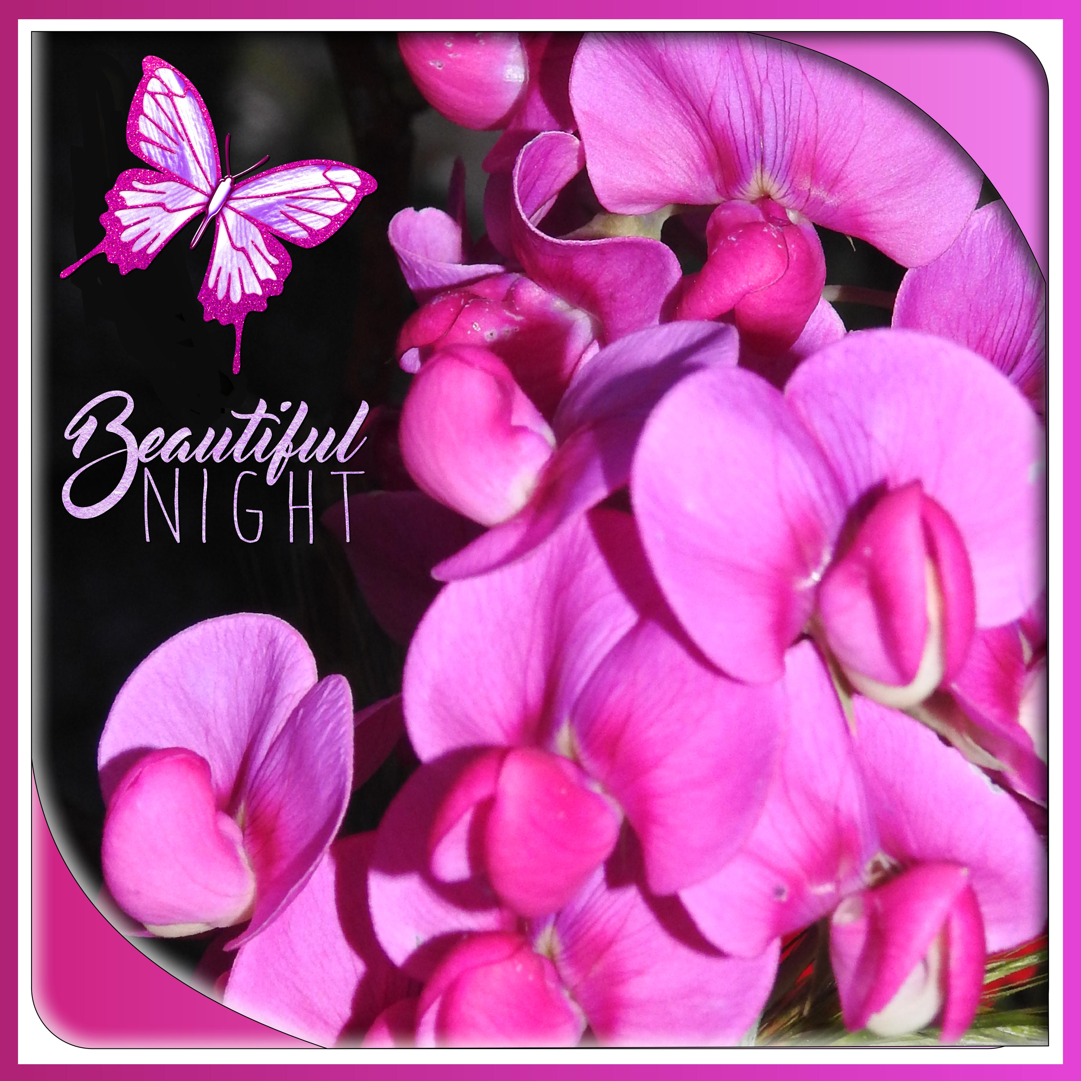 J - BEAUTIFUL NIGHT.jpg