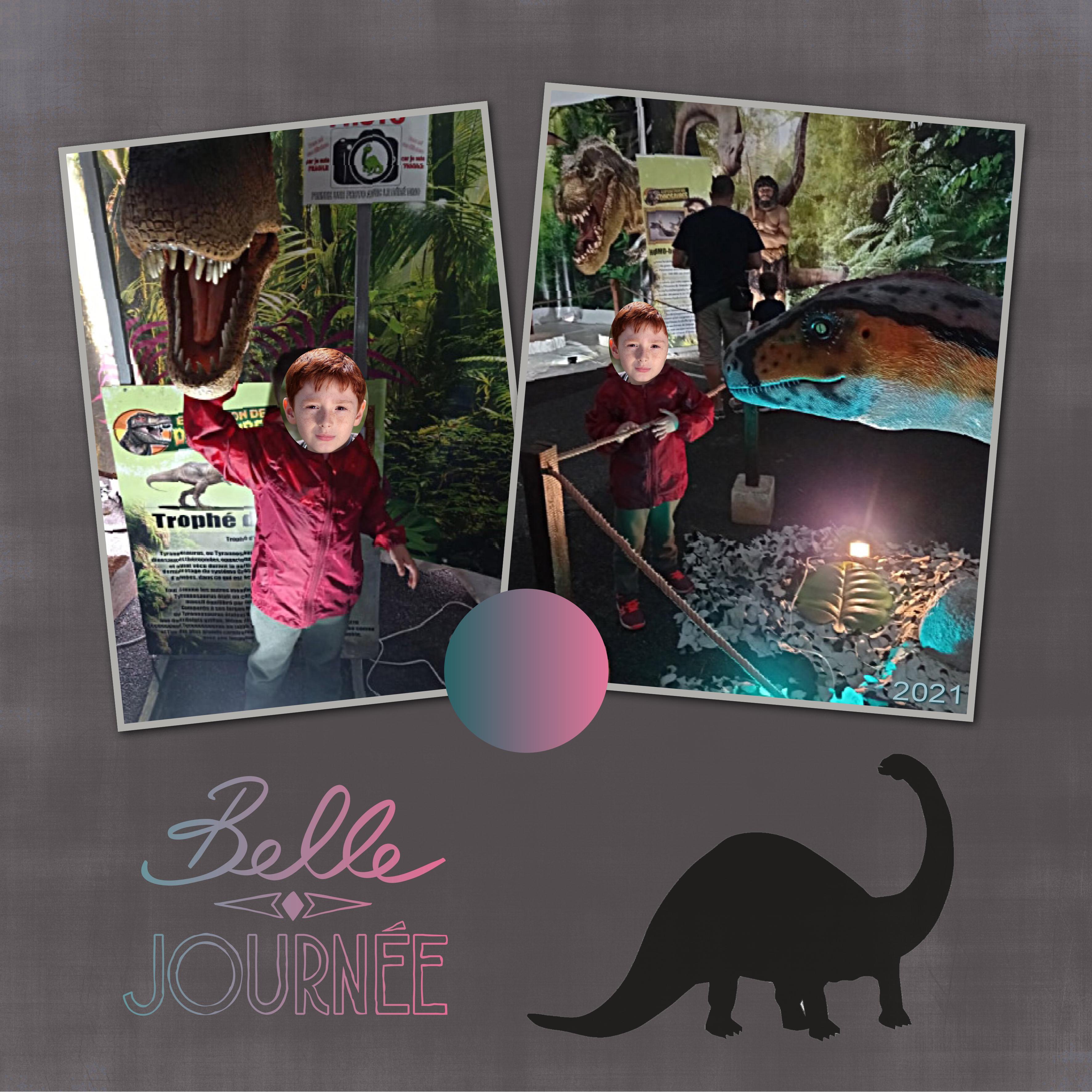 J - BELLE JOURNEE.jpg