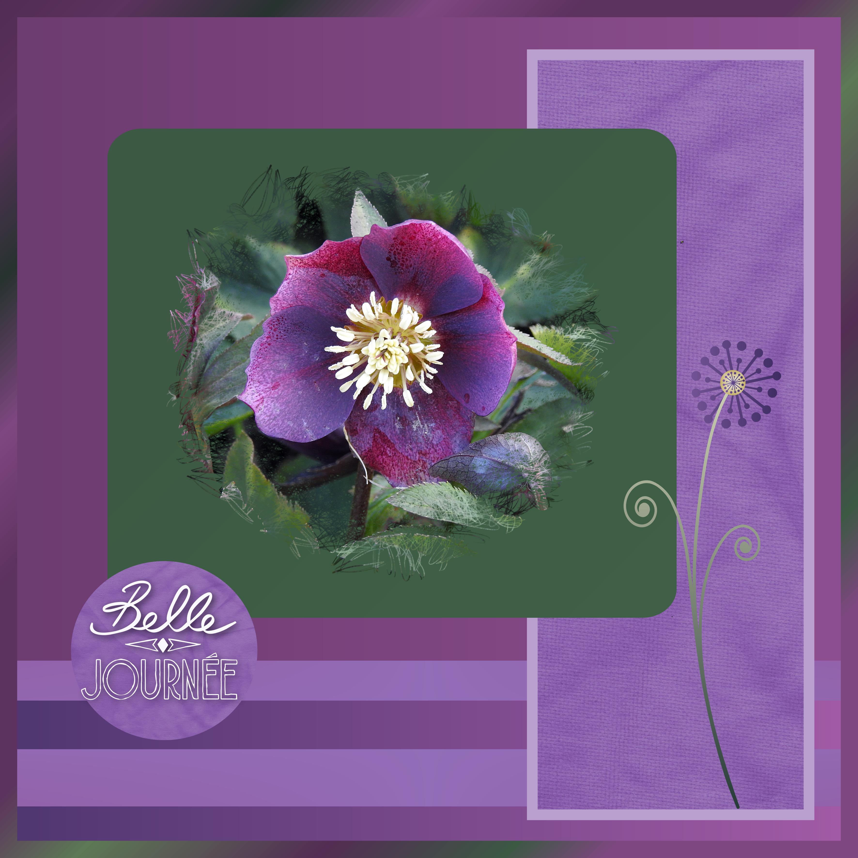J - BELLE JOURNEE.jpg