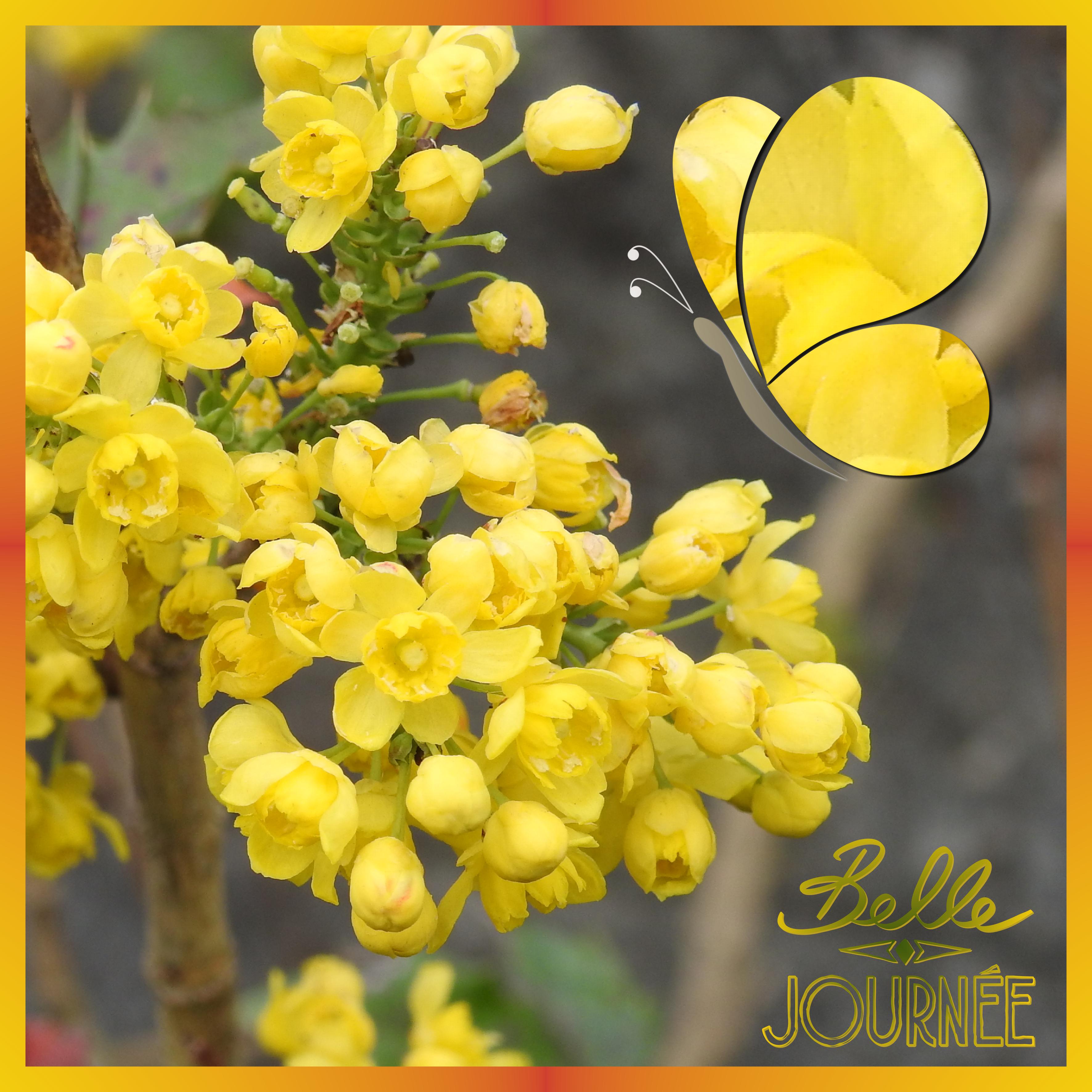 J - BELLE JOURNEE.jpg