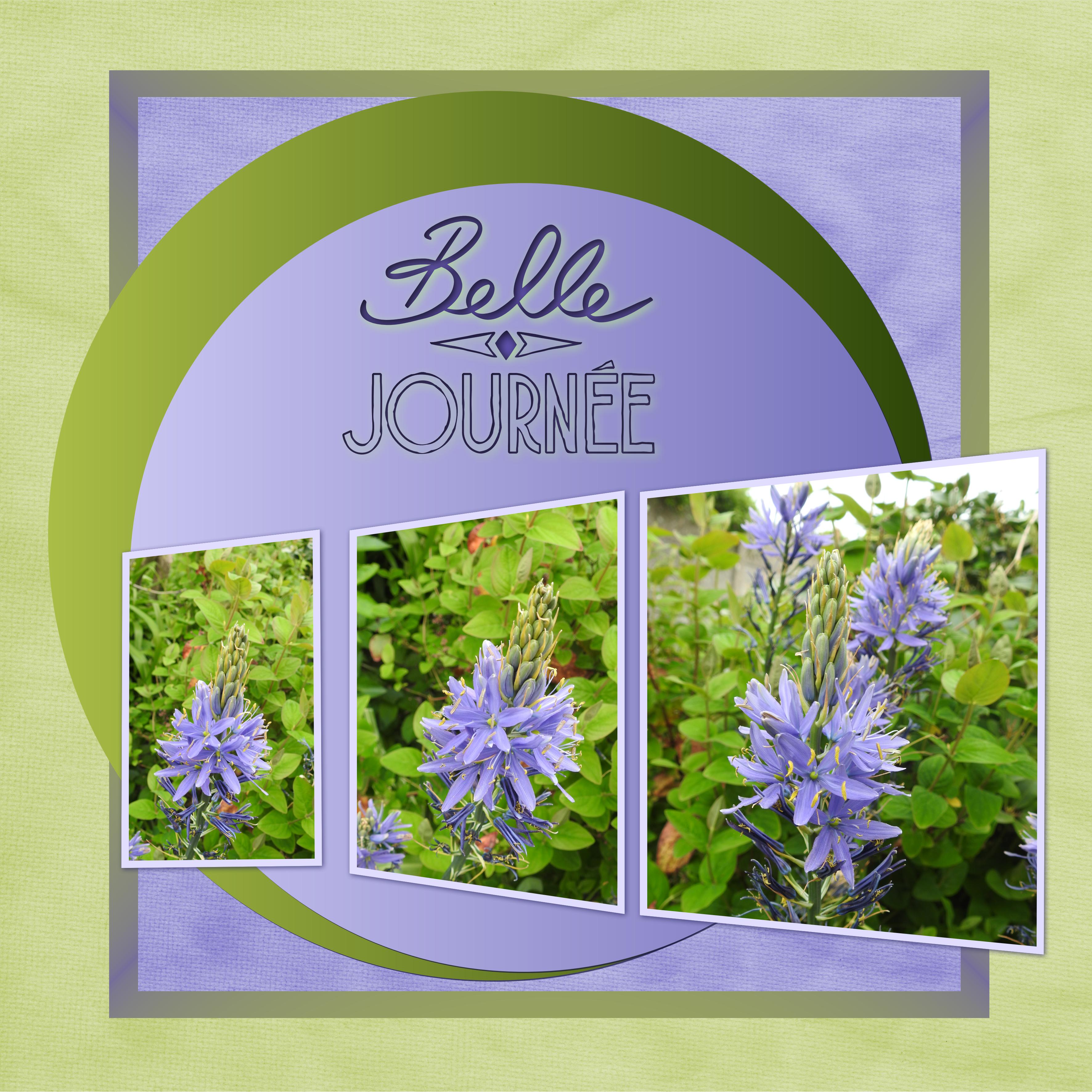 J - BELLE JOURNEE.jpg