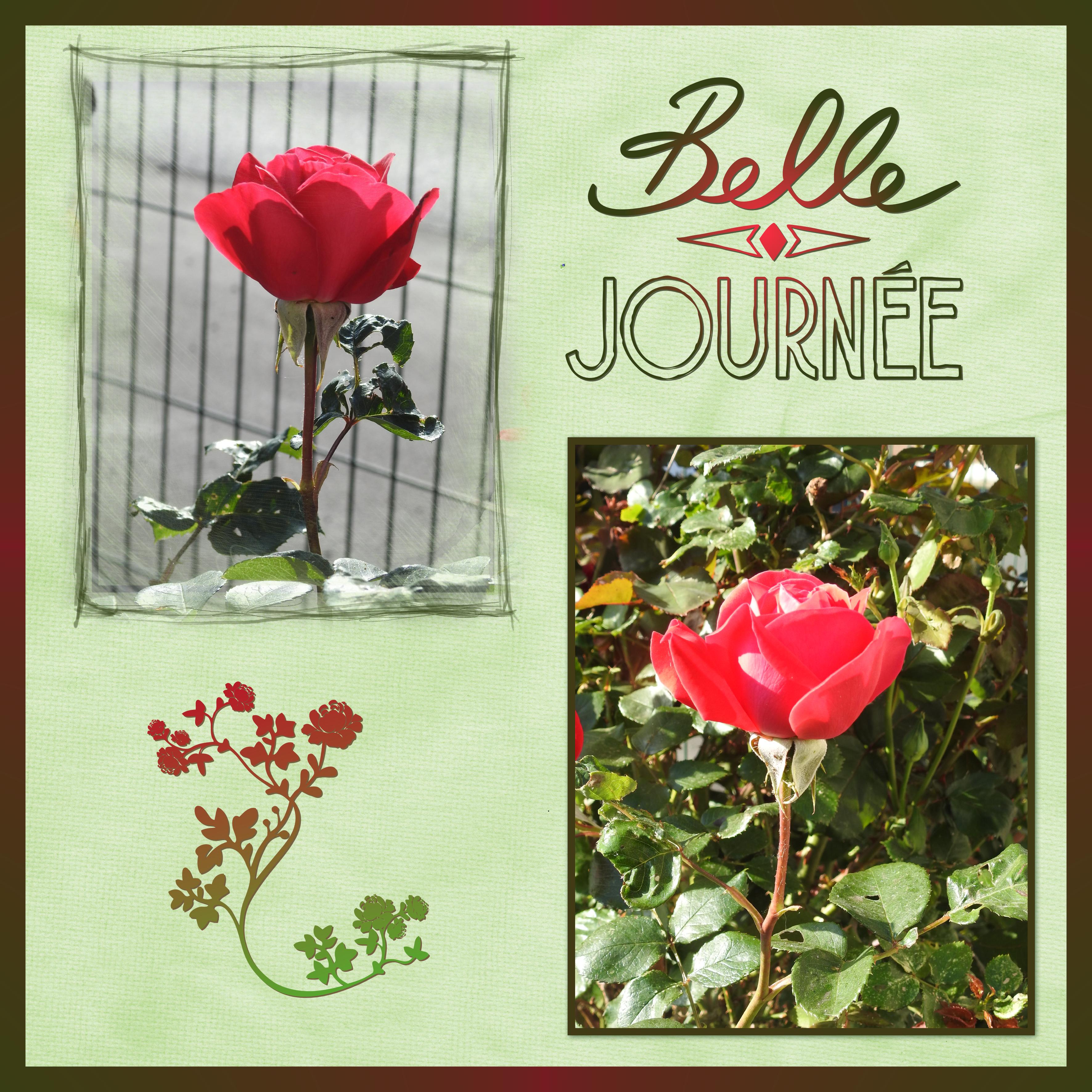 J - BELLE JOURNEE.jpg