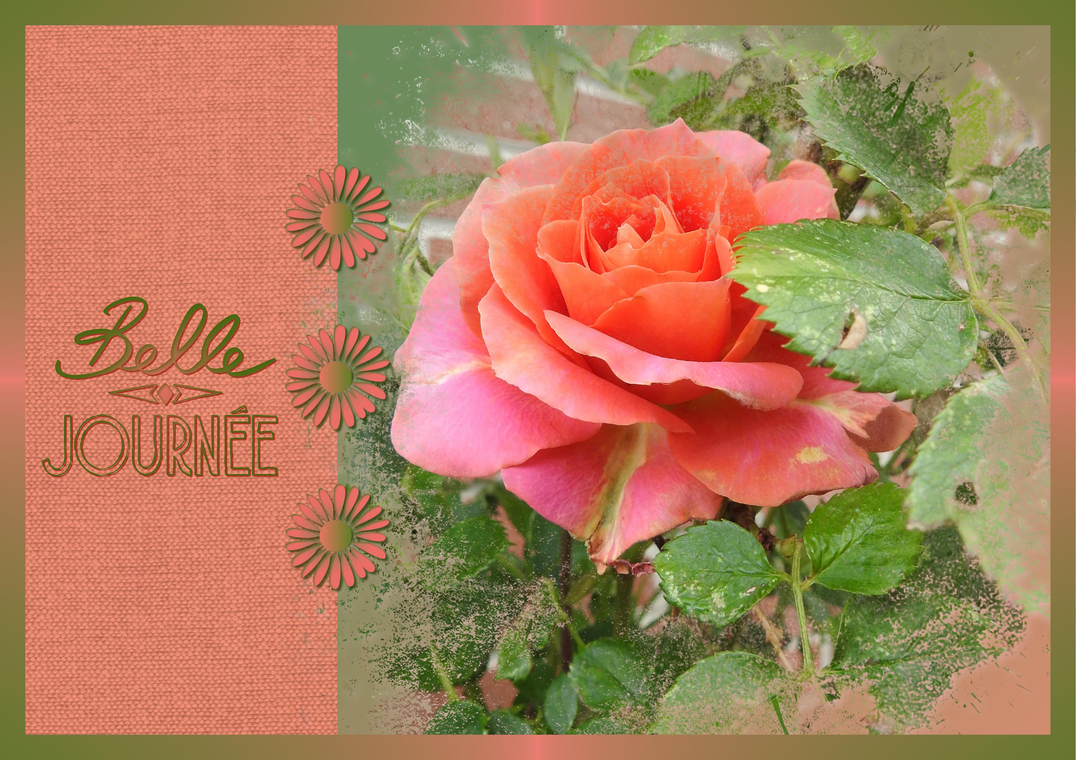 J - BELLE JOURNEE.jpg