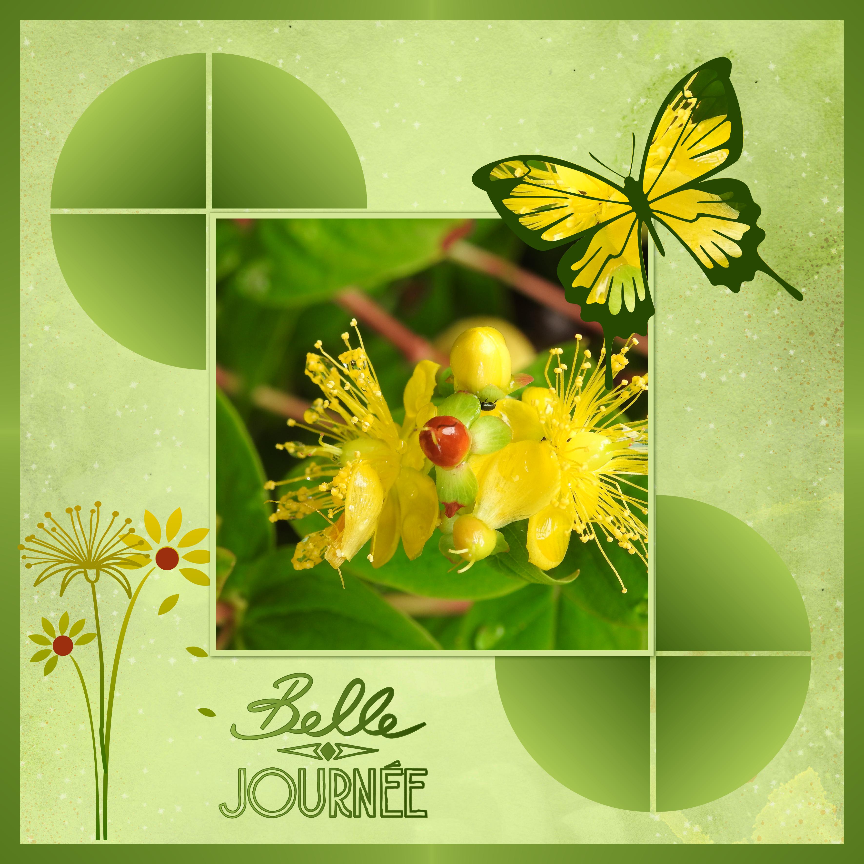 J - BELLE JOURNEE.jpg