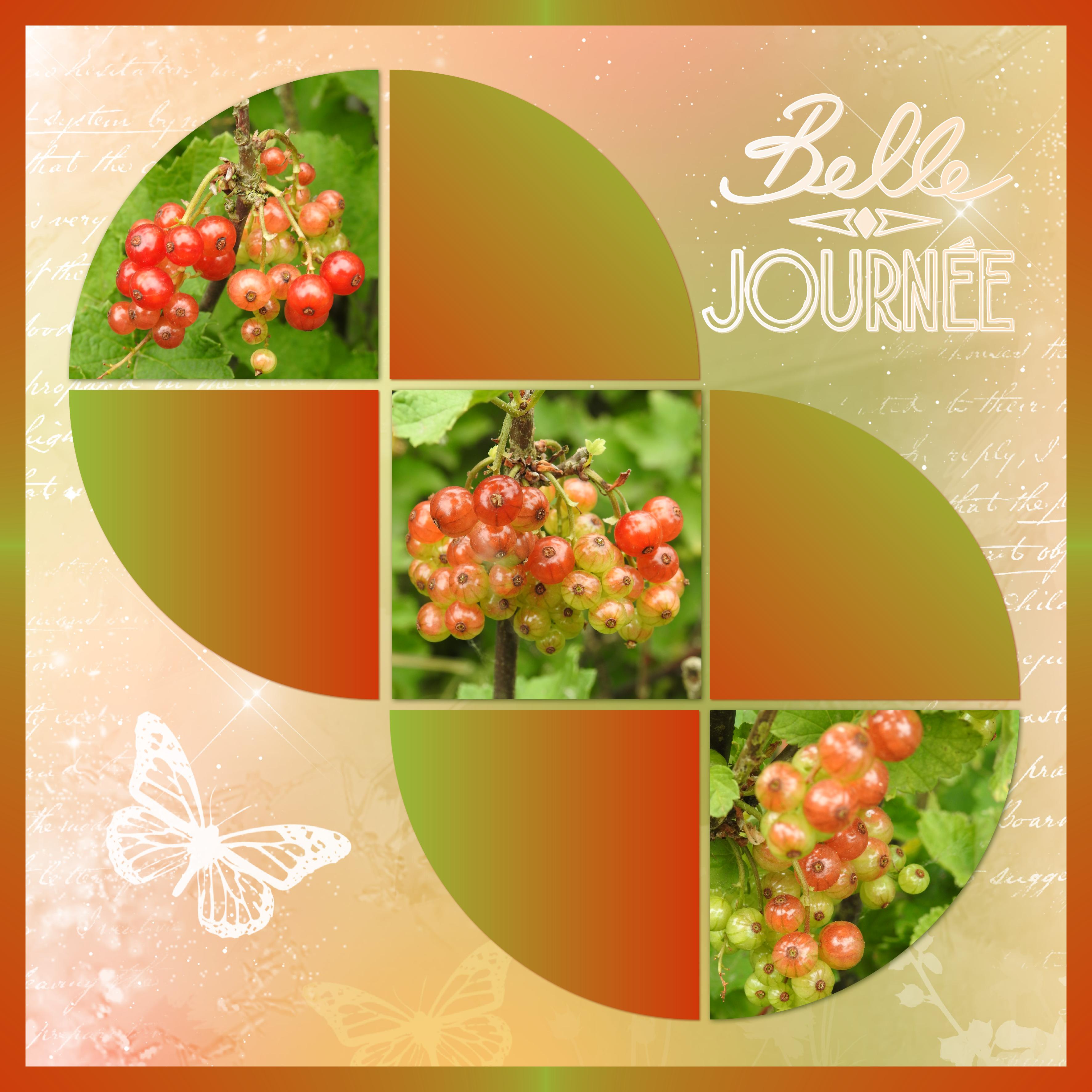 J - BELLE JOURNEE-.jpg