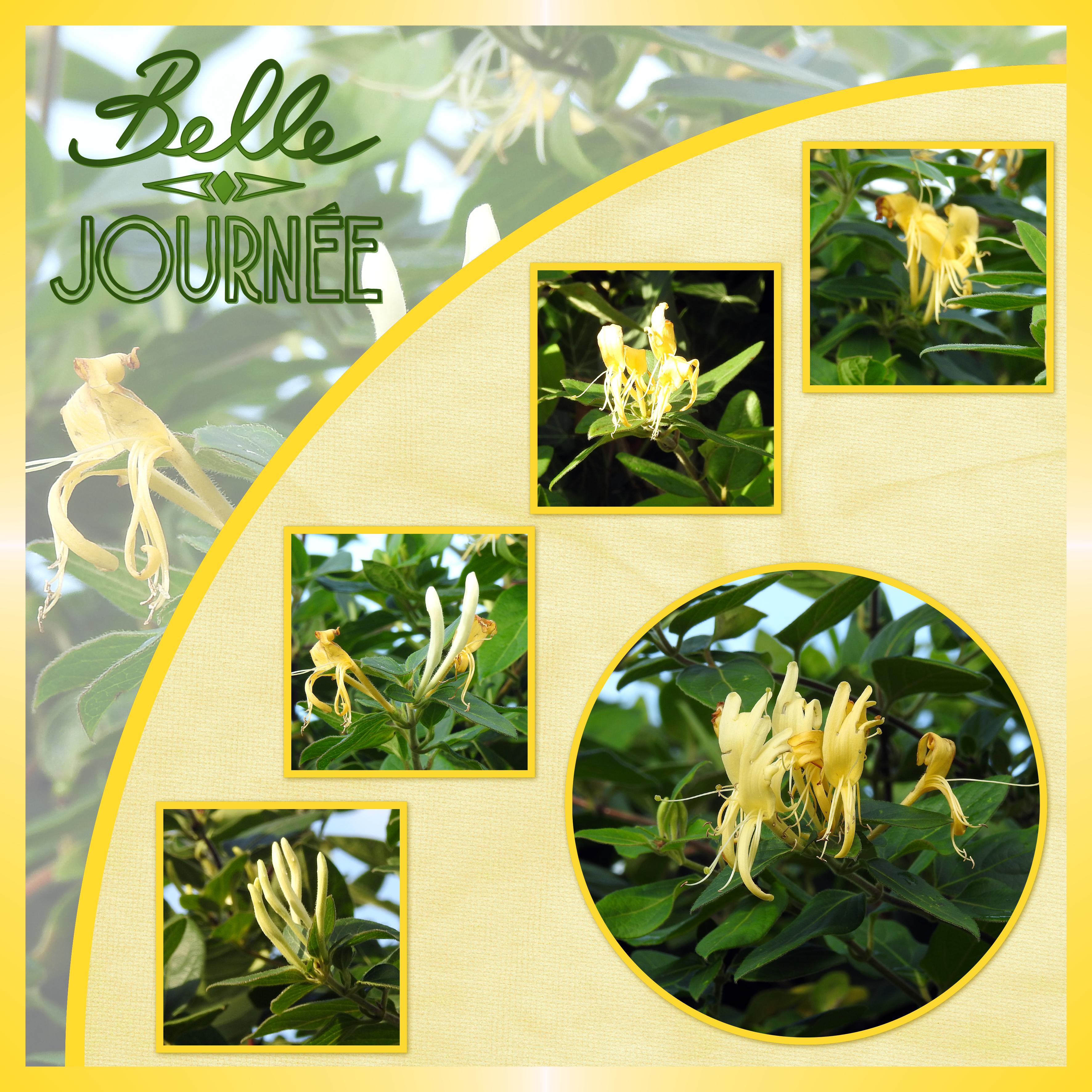 J - BELLE JOURNEE .jpg