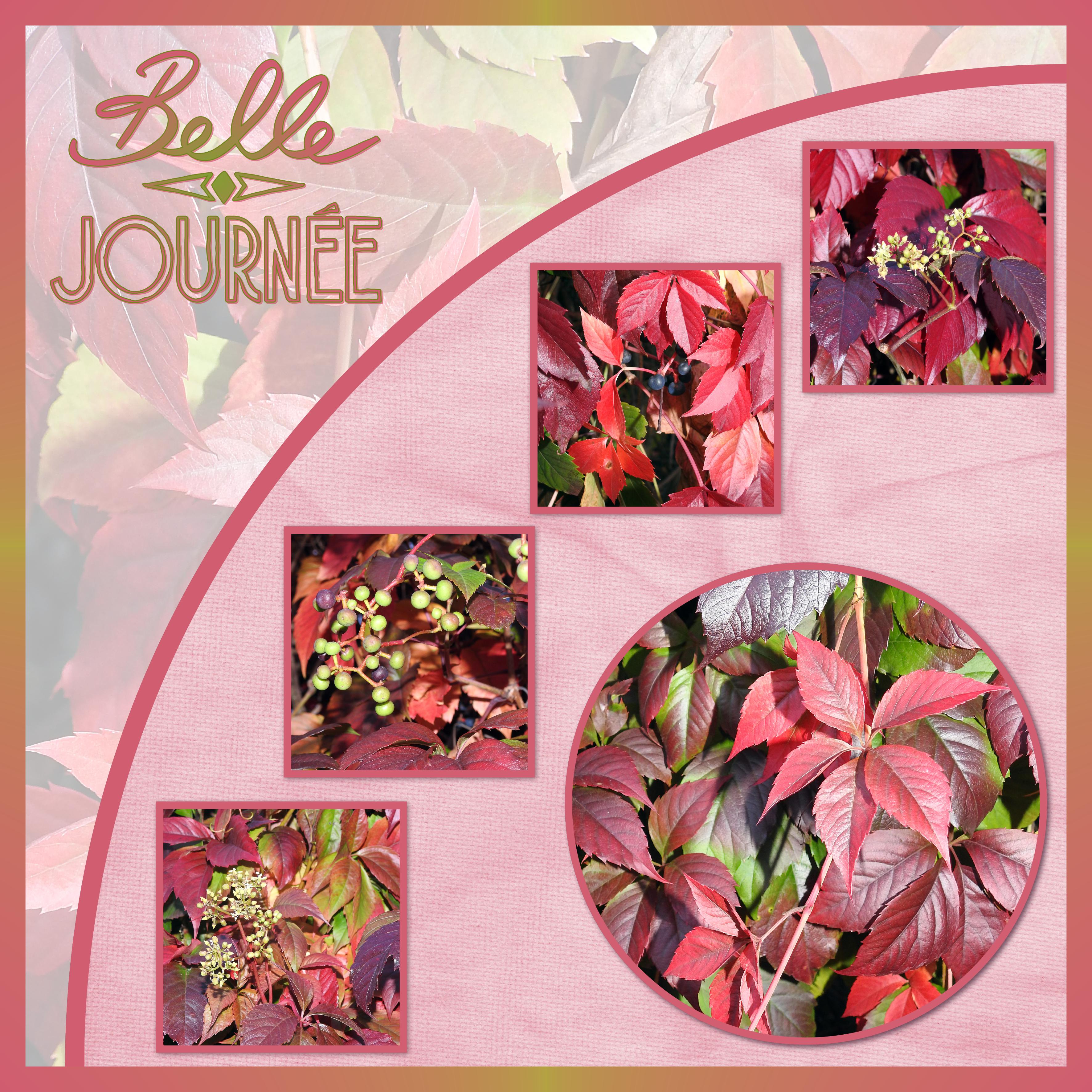 J - BELLE JOURNEE.jpg