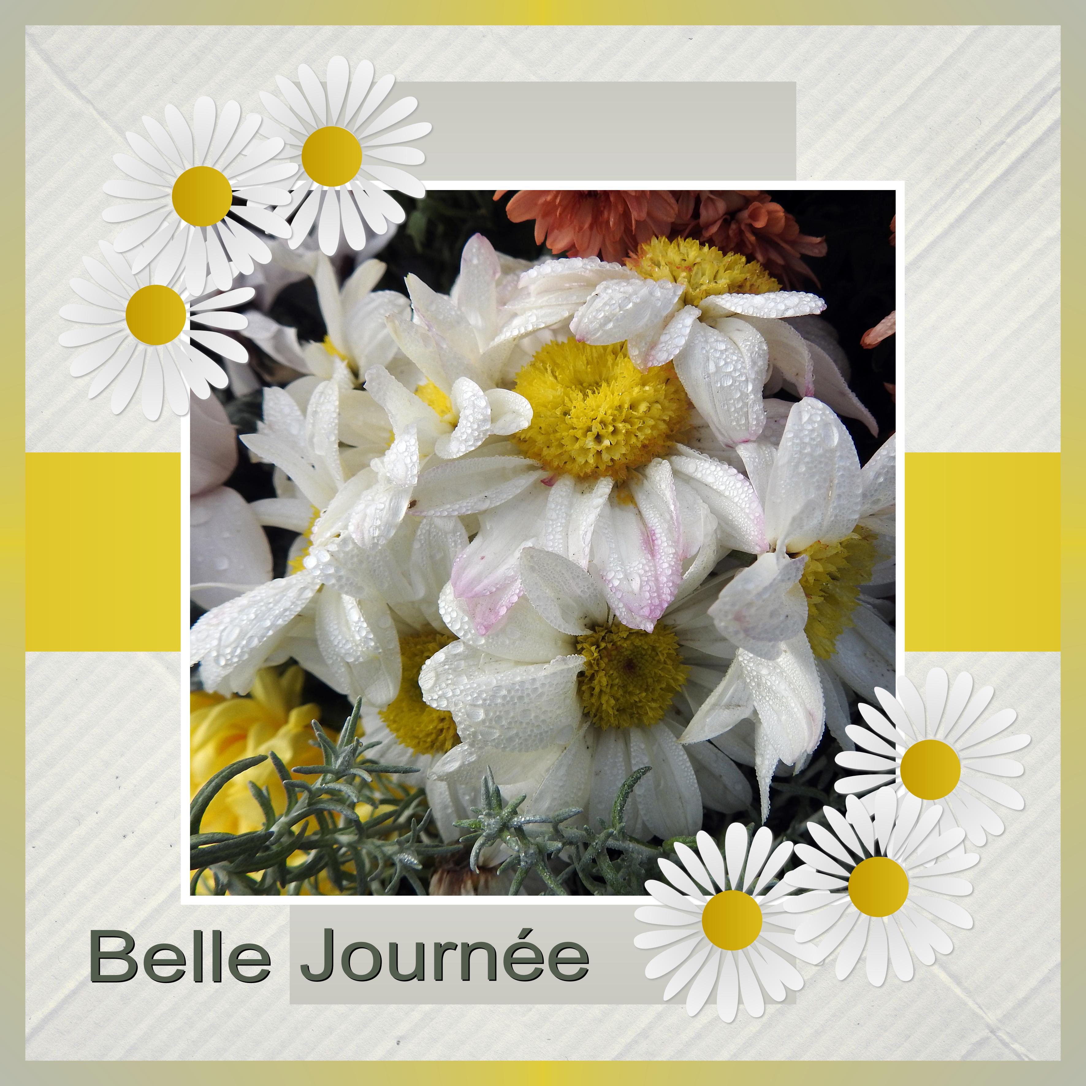 J - BELLE JOURNEE.jpg