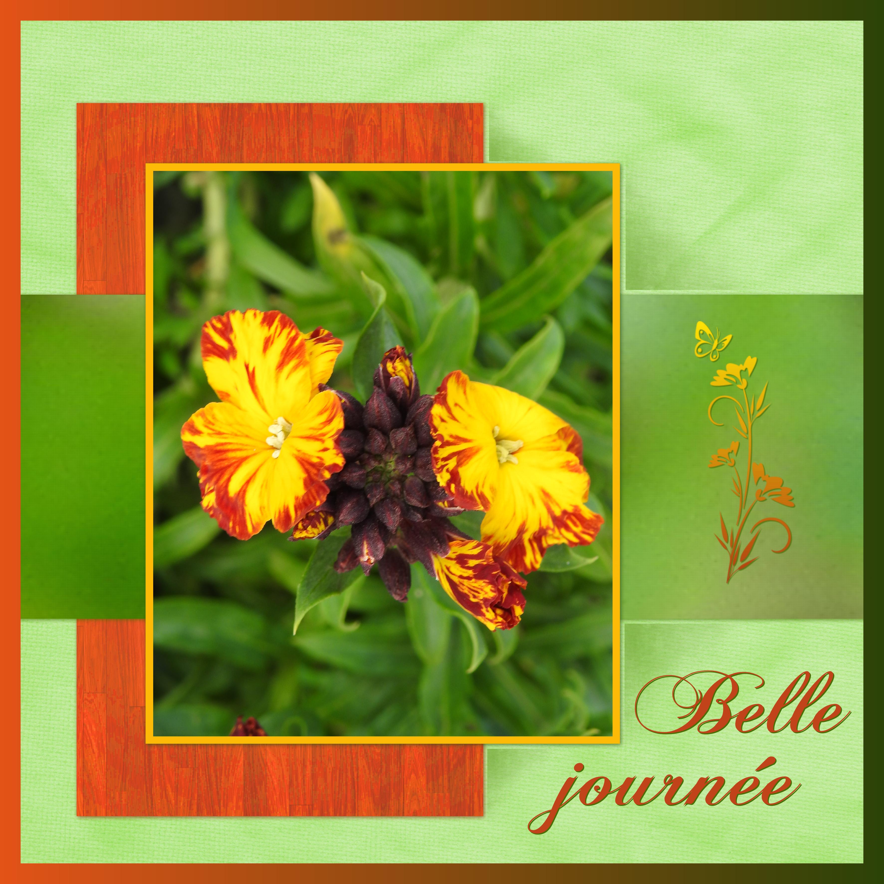 J - BELLE JOURNEE.jpg