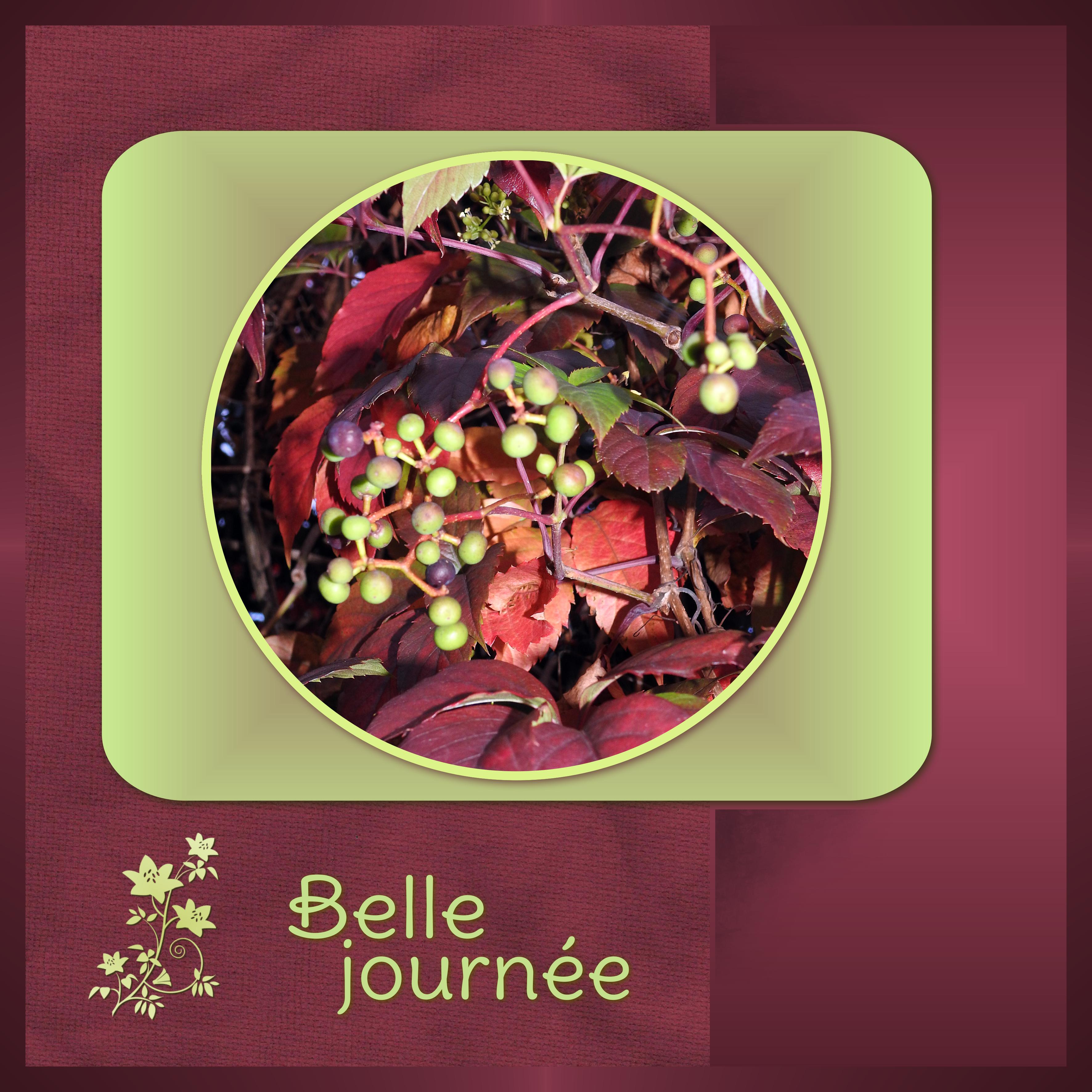 J - BELLE JOURNEE.jpg