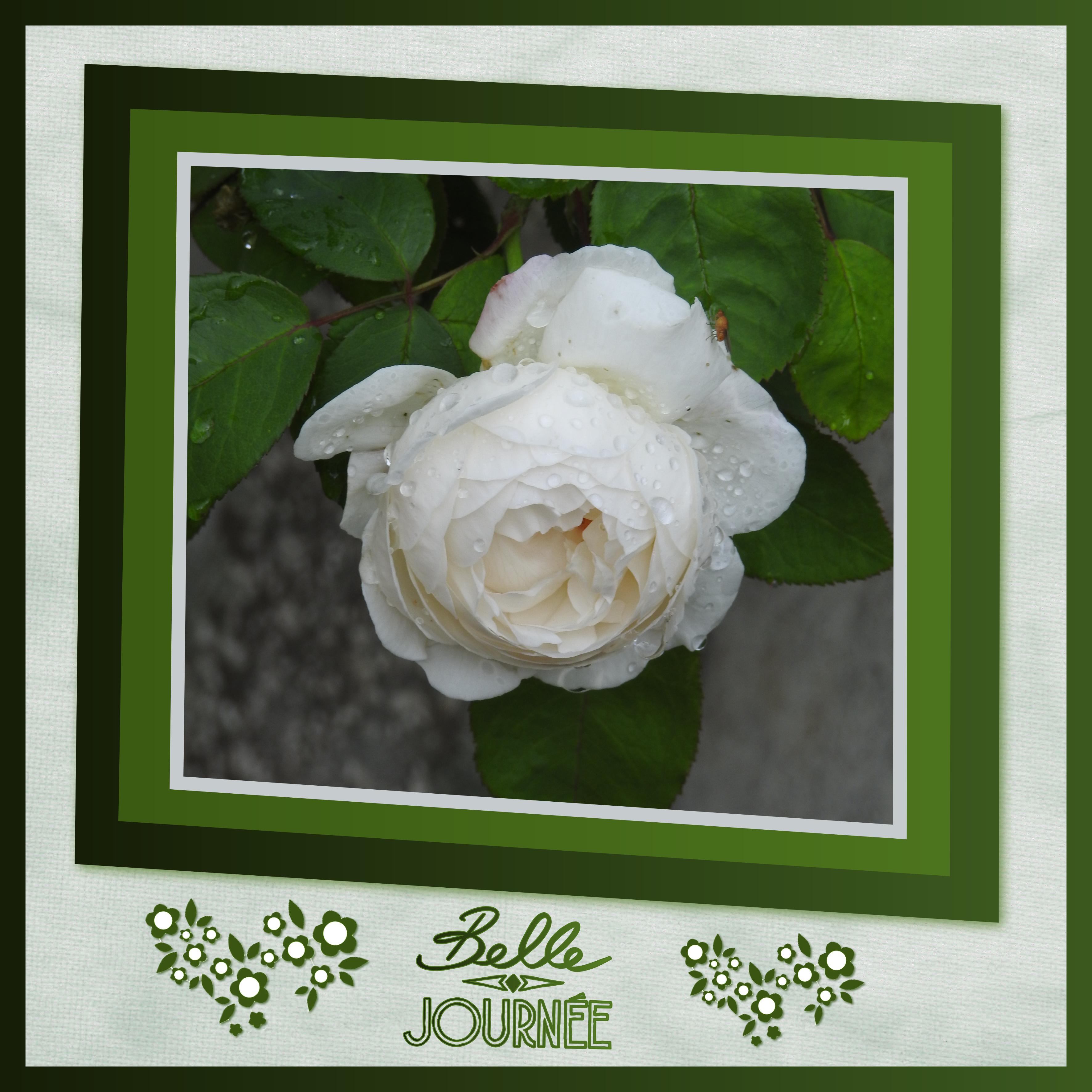 J - BELLE JOURNEE.jpg