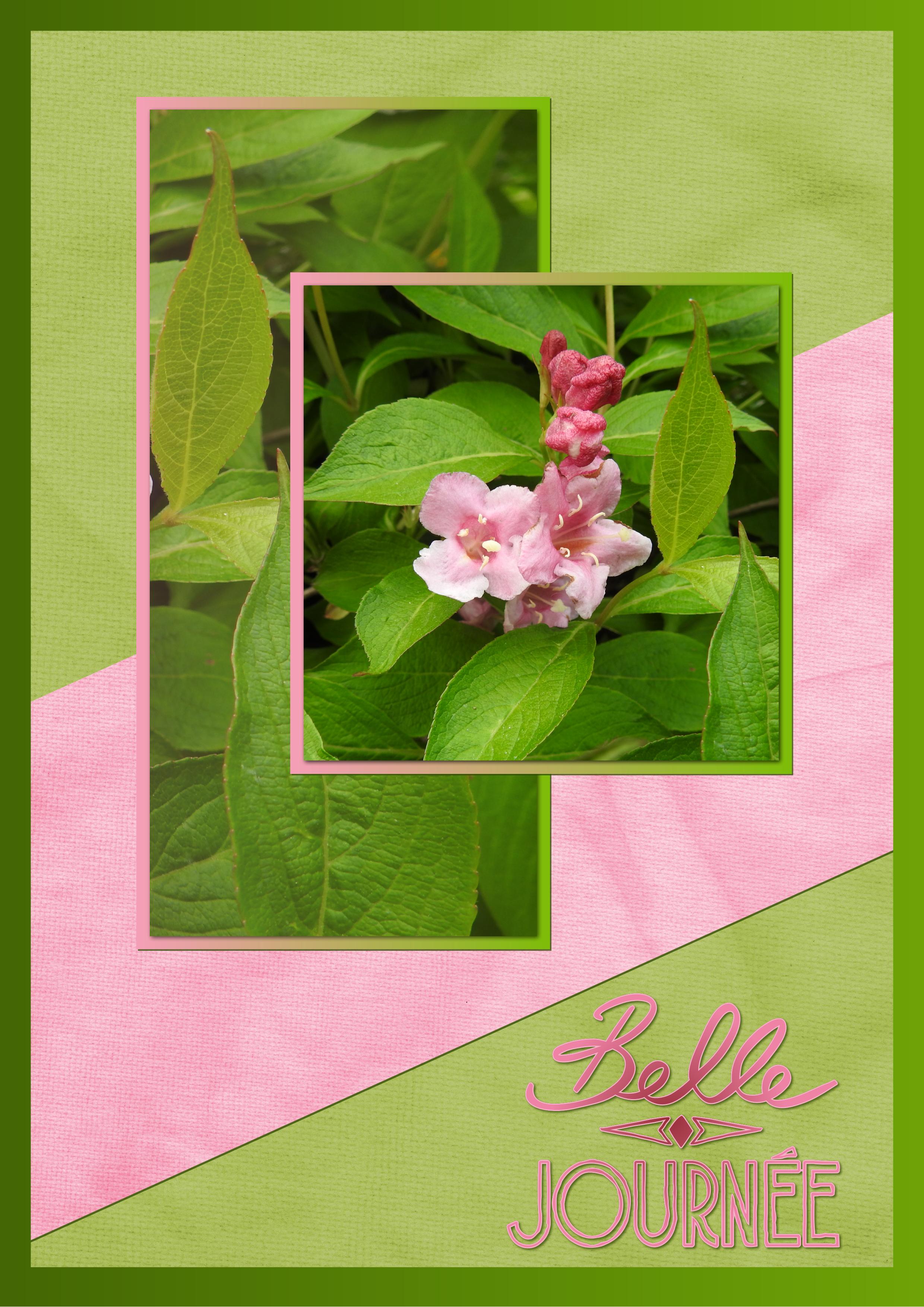 J - BELLE JOURNEE.jpg