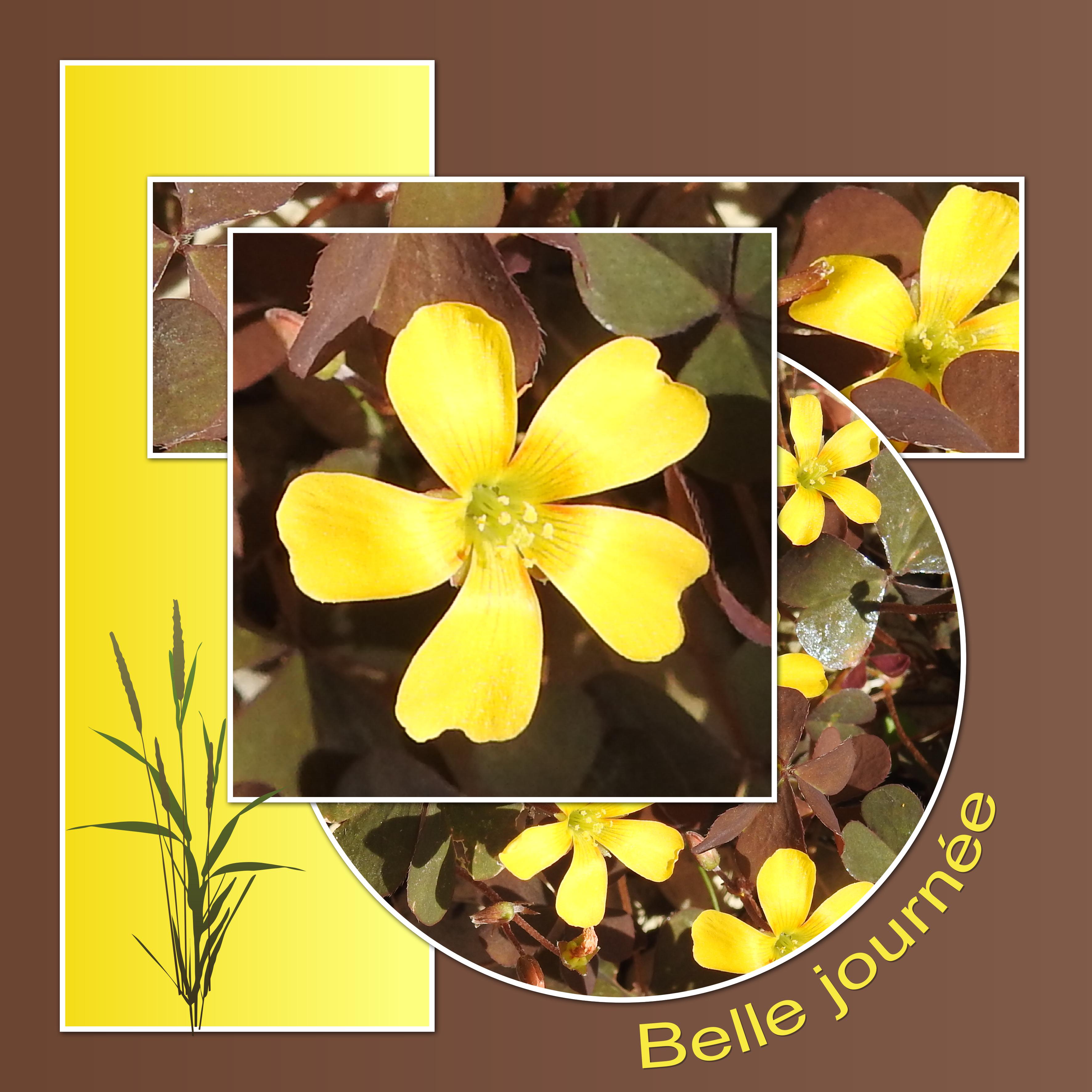 J - BELLE JOURNEE.jpg