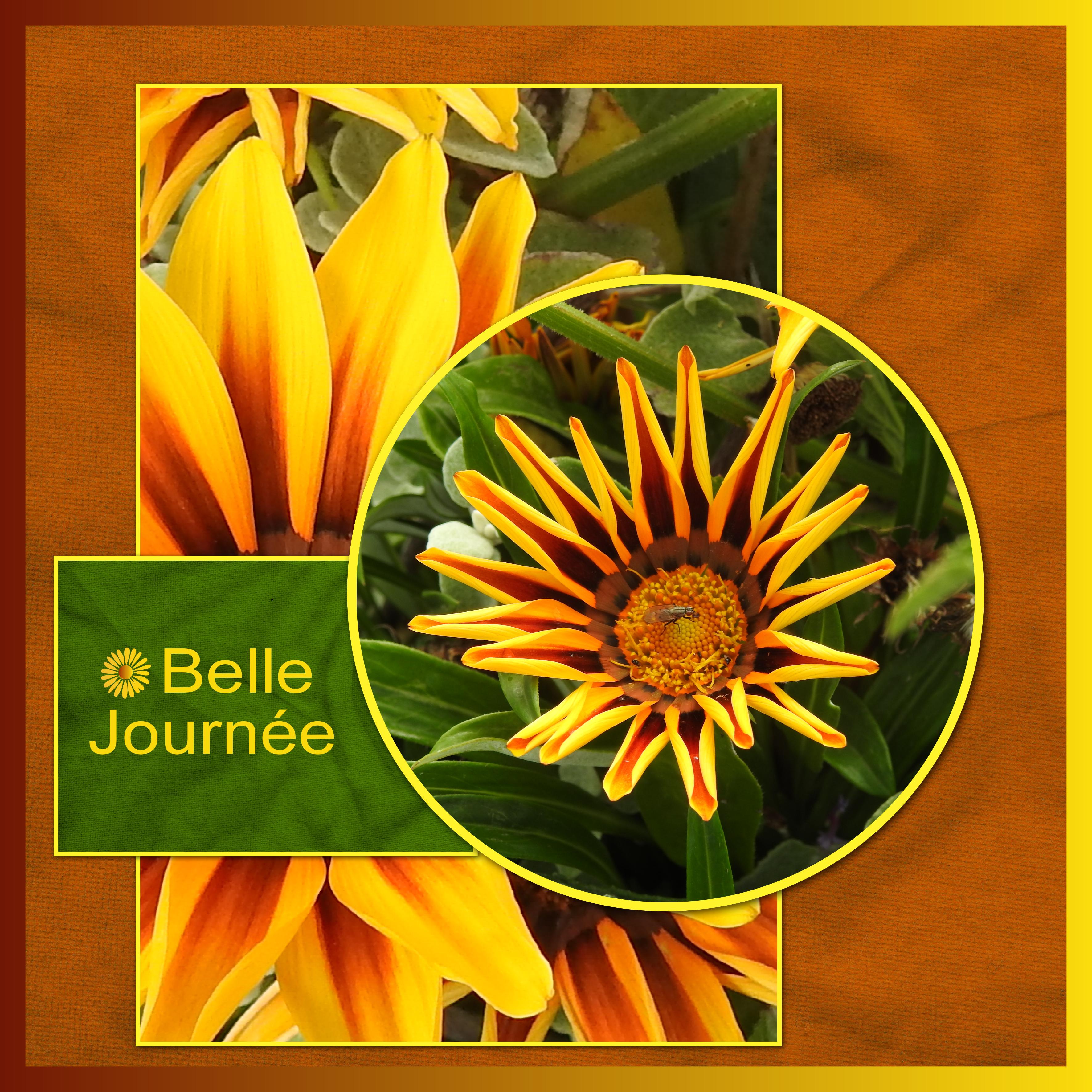 J - BELLE JOURNEE.jpg