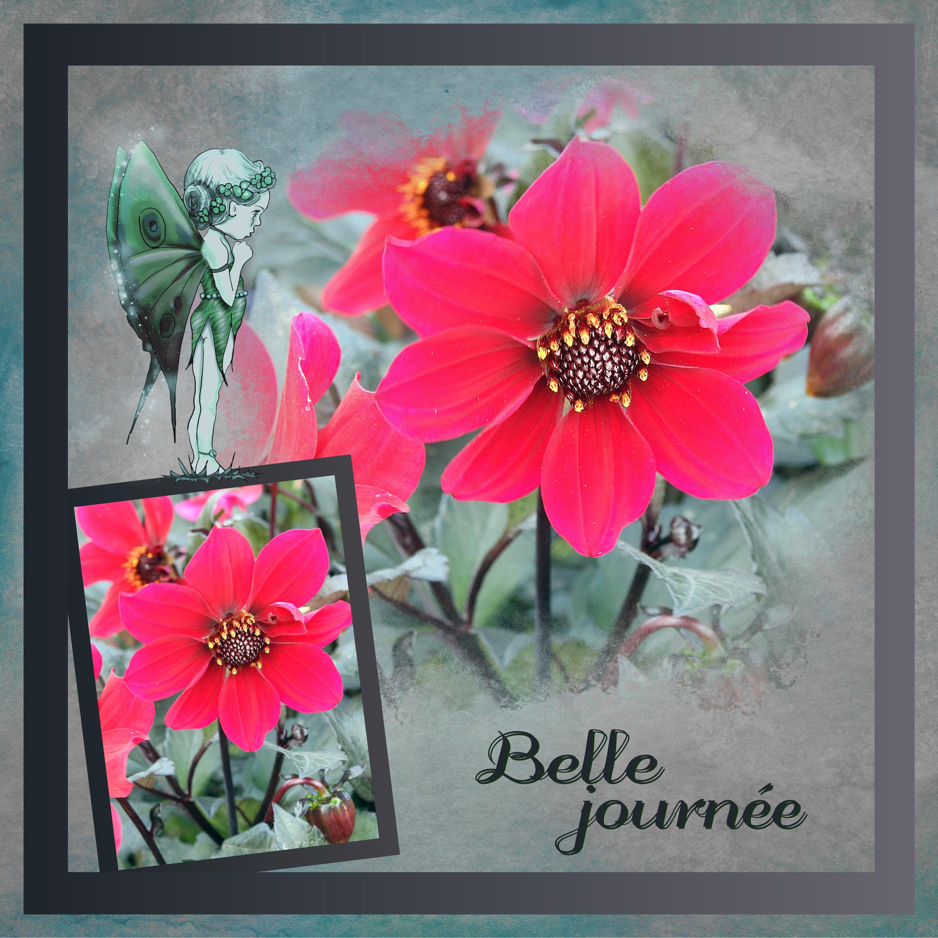 J - BELLE JOURNEE.jpg